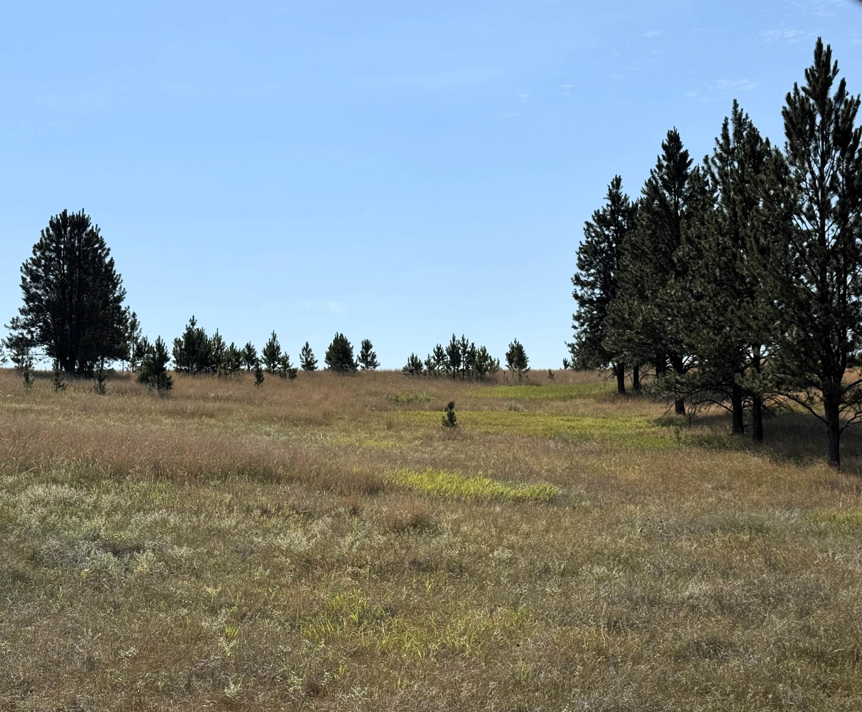 Tract 12 Black Bear Road Property Photo 3