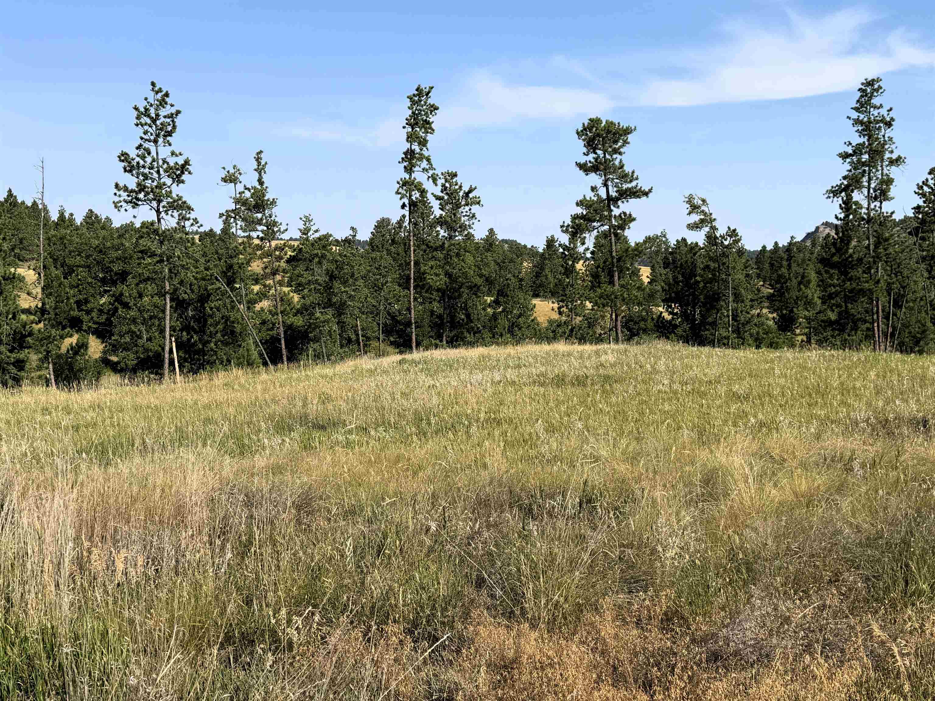 Tract 13 Soaring Eagle Road Property Photo 1
