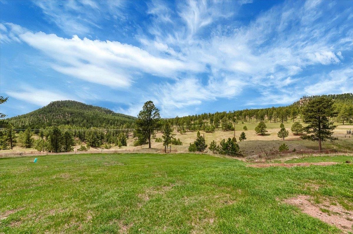 25139 Renegade Pass Property Photo 29