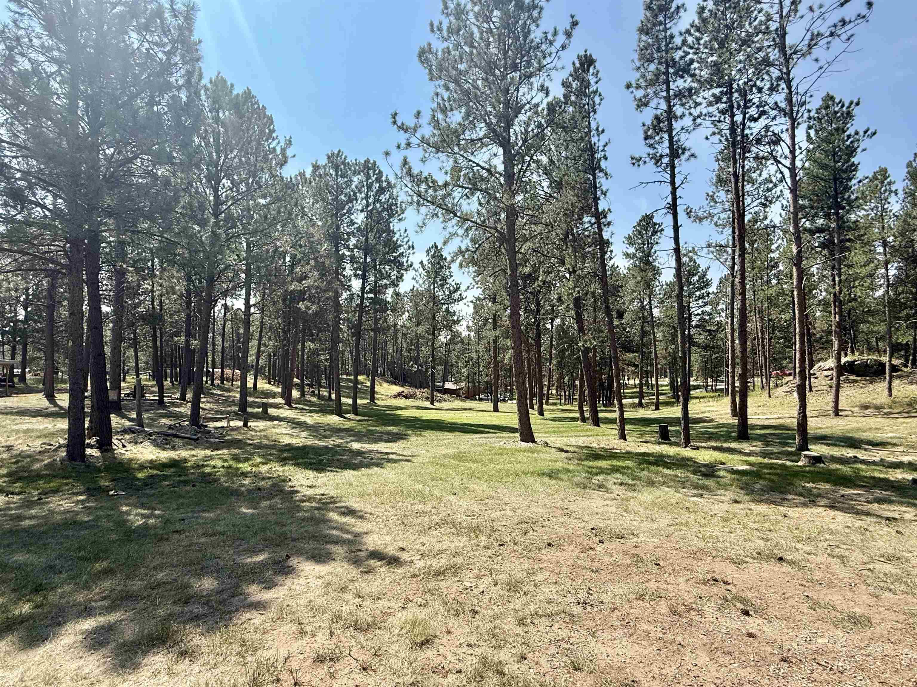 12237 Weaver Drive Property Photo 34