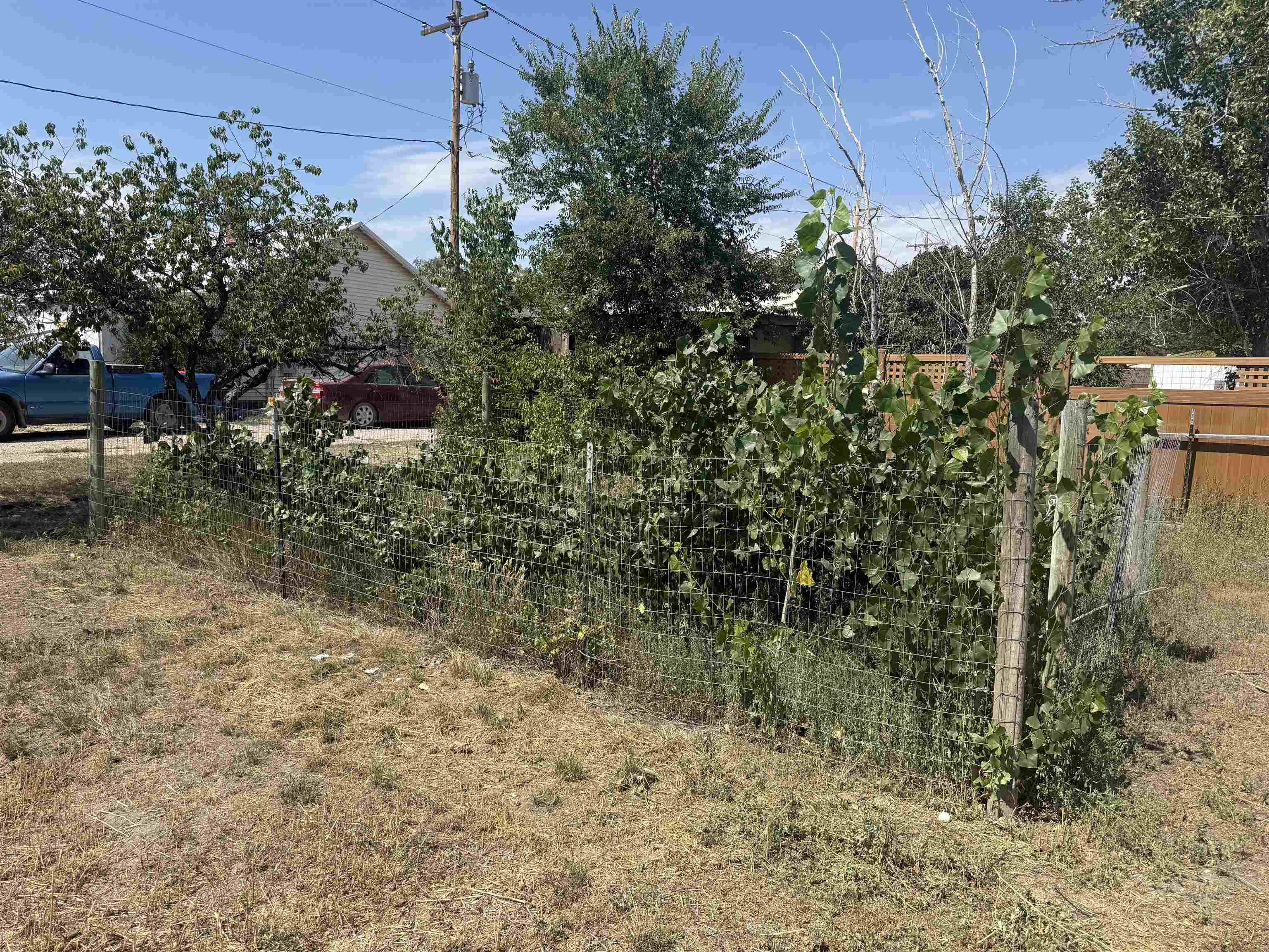 402 4th Avenue Property Photo 5