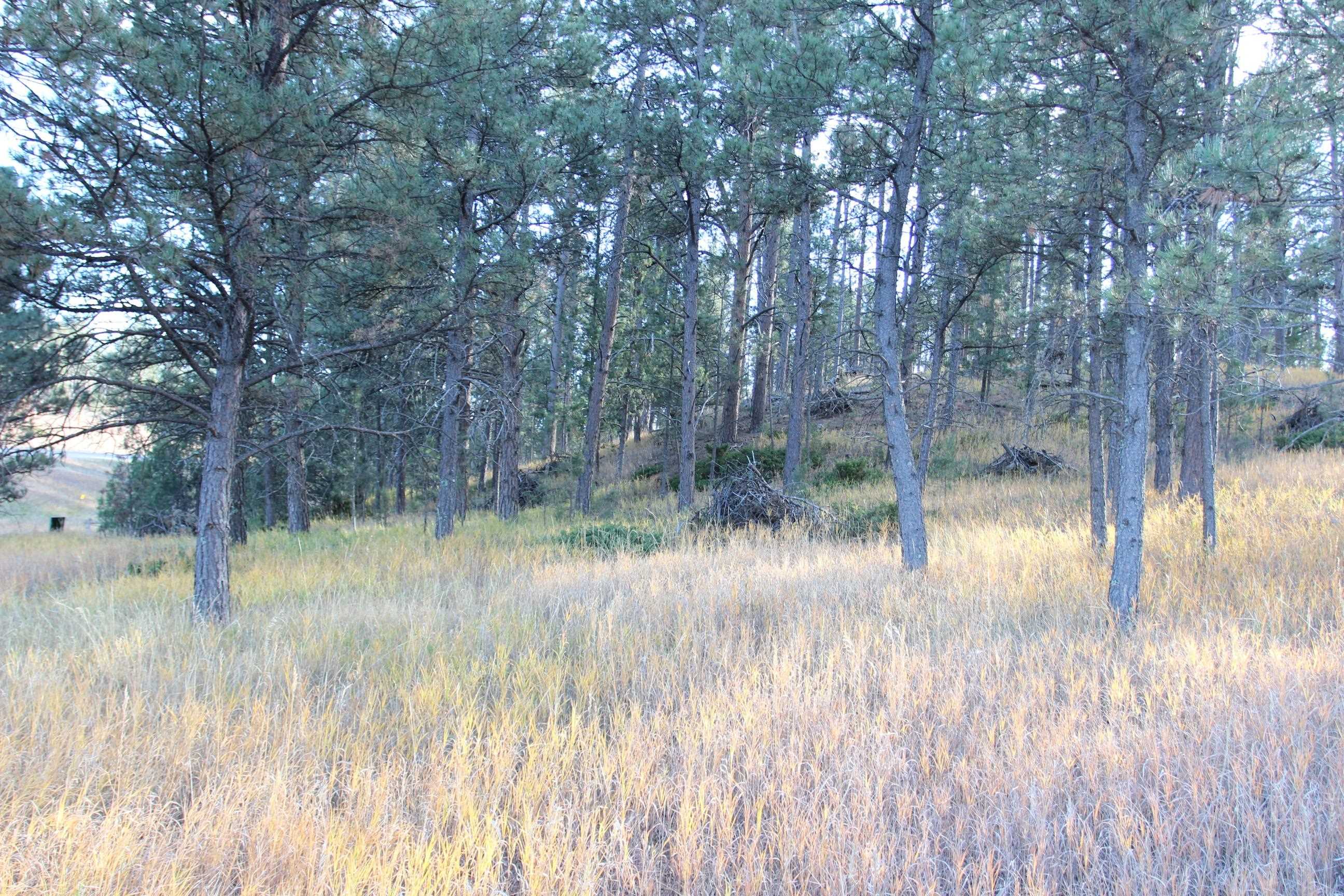 12063 Red Rock Lane Property Photo 1
