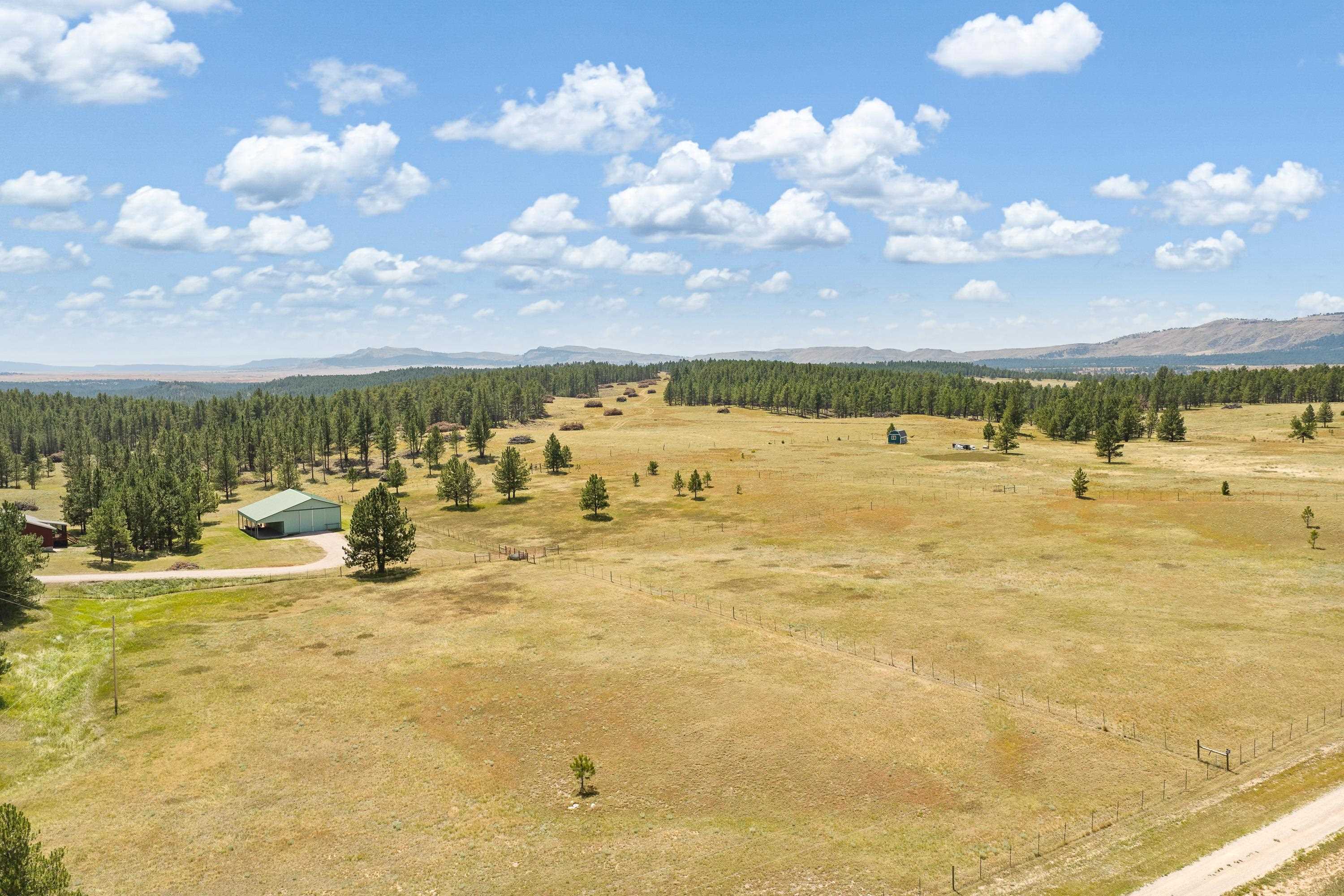 10447 Southern Cross Road Property Photo 35