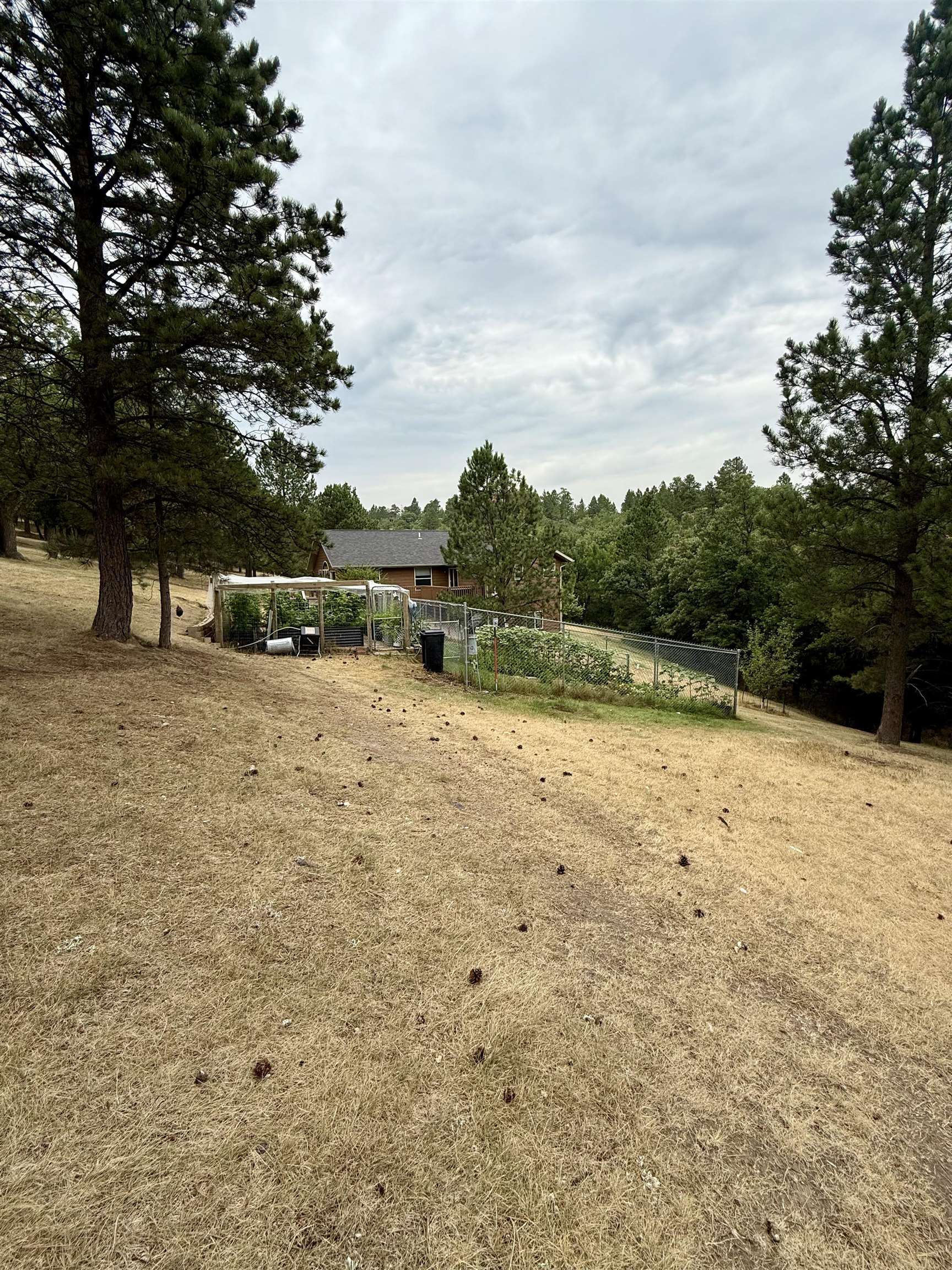 12315 Antler Road Property Photo 30