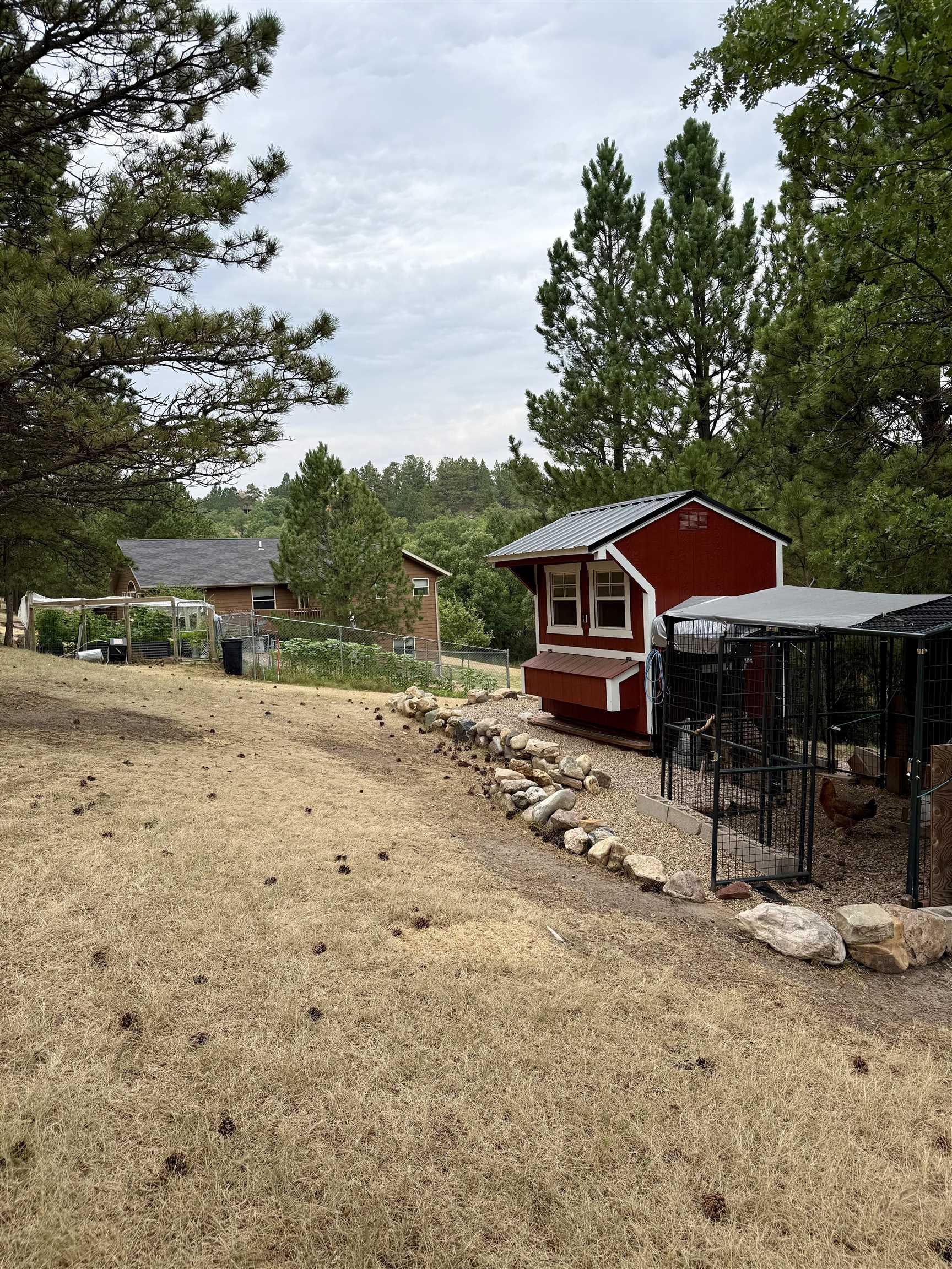 12315 Antler Road Property Photo 31