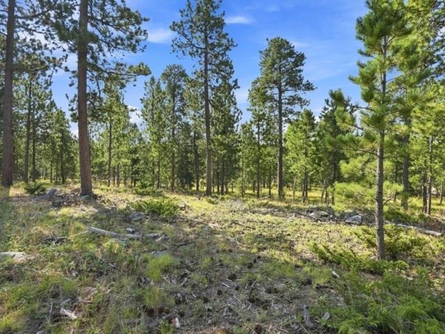 Lot 4 Block 9 Ne Overlook Pass Property Photo 6