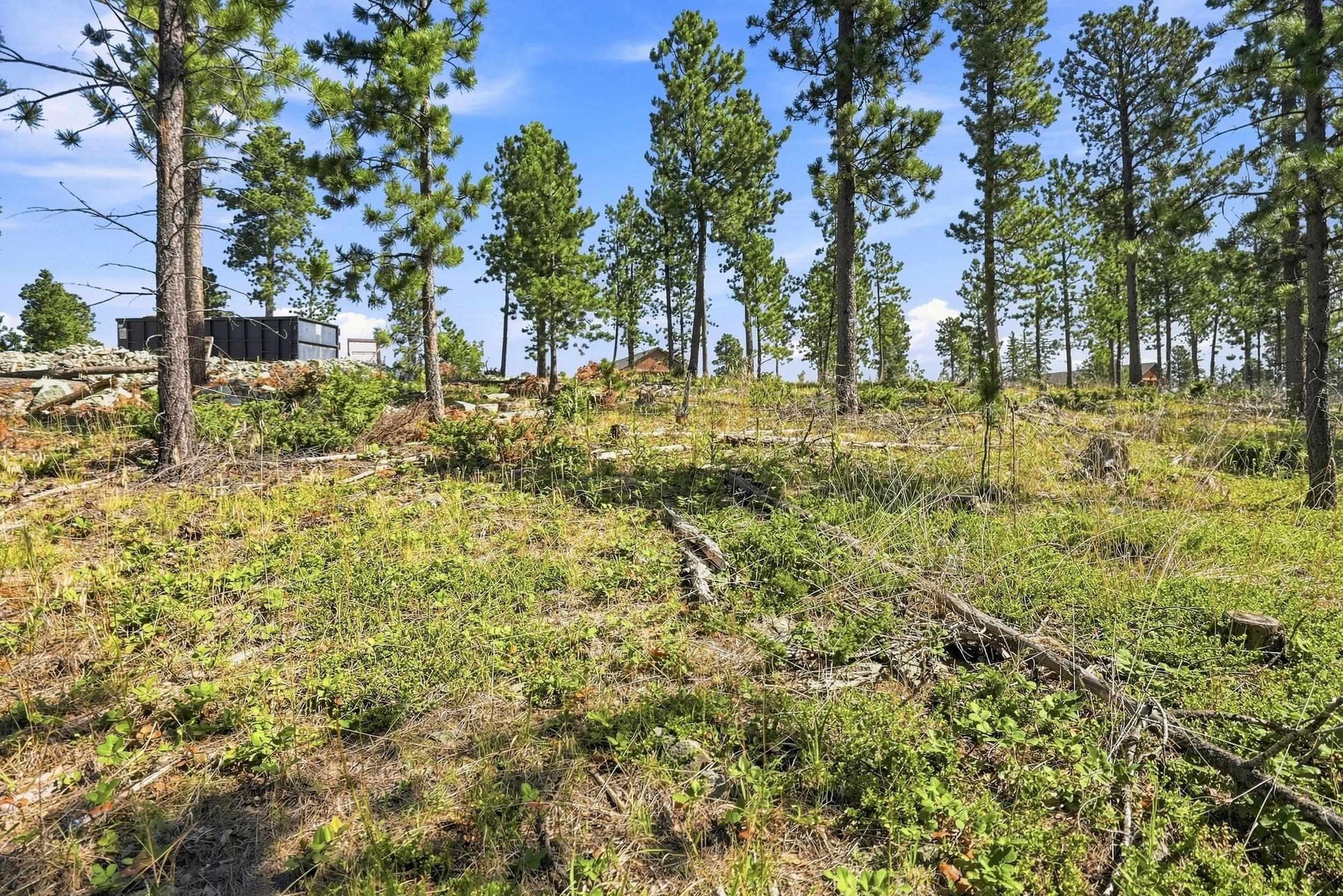 Lot 3 Block 9 N Overlook Pass Property Photo 4