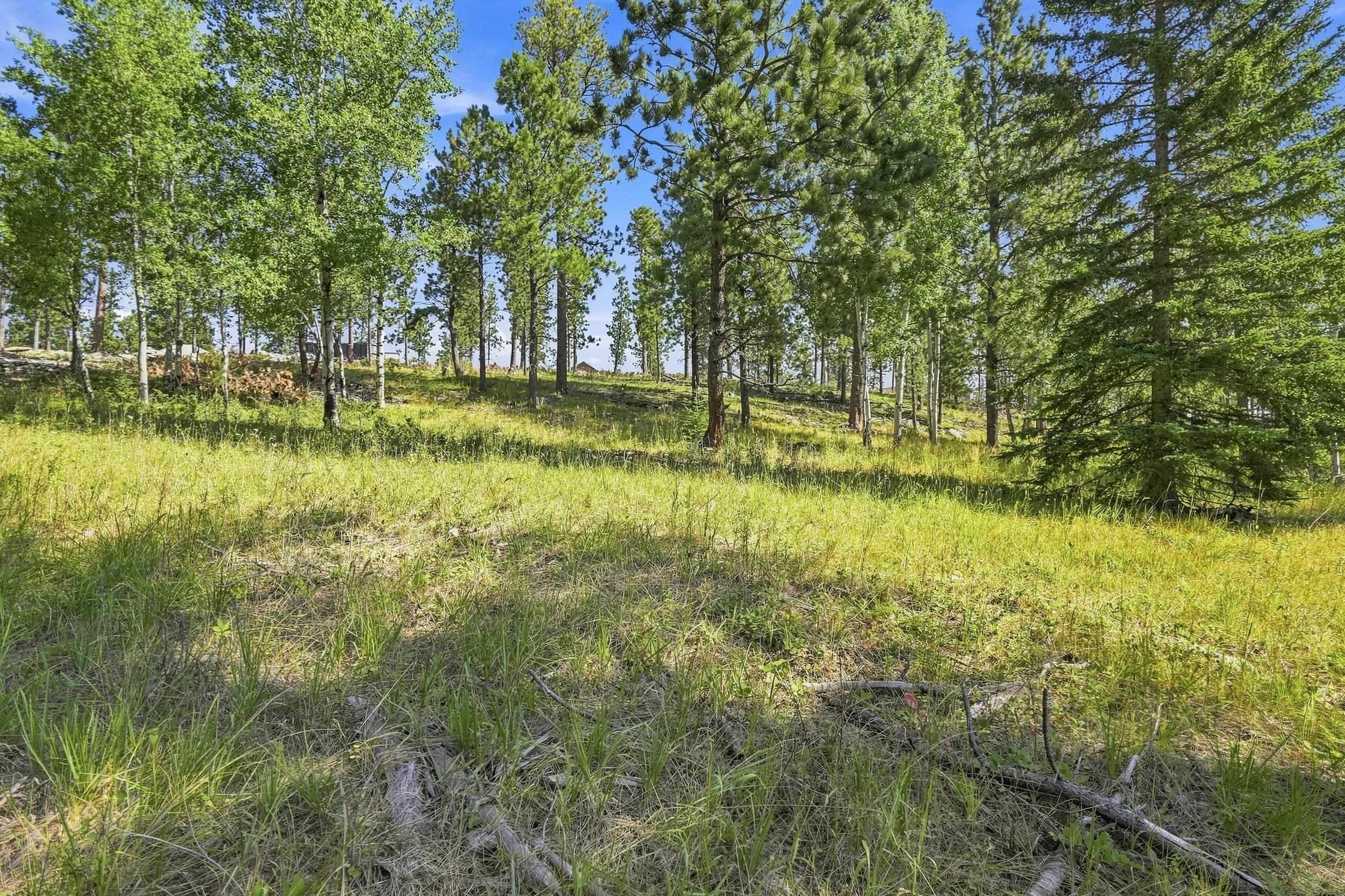 Lot 3 Block 9 N Overlook Pass Property Photo 5