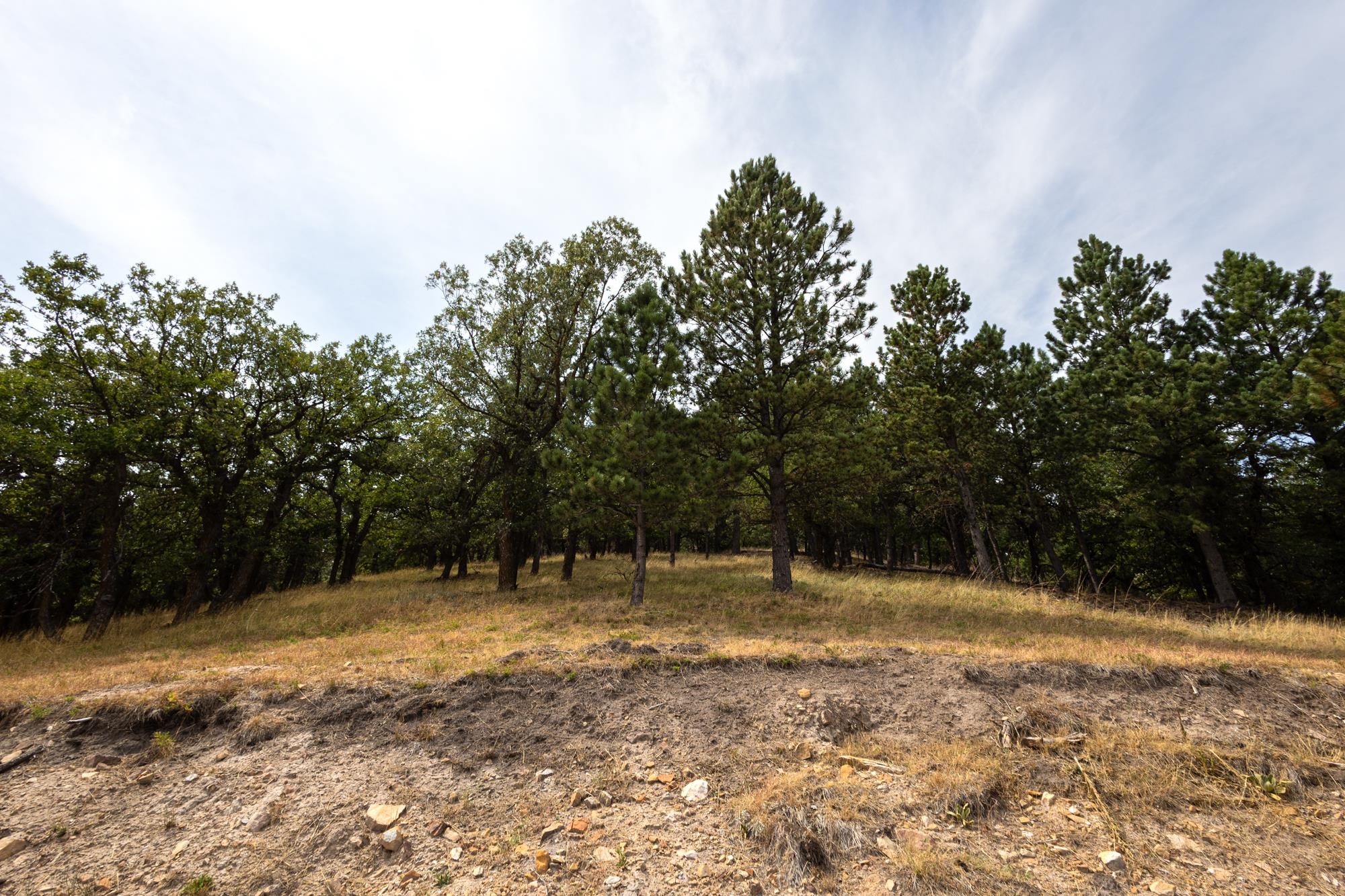 20257 Heavenly Hills Road Property Photo 16