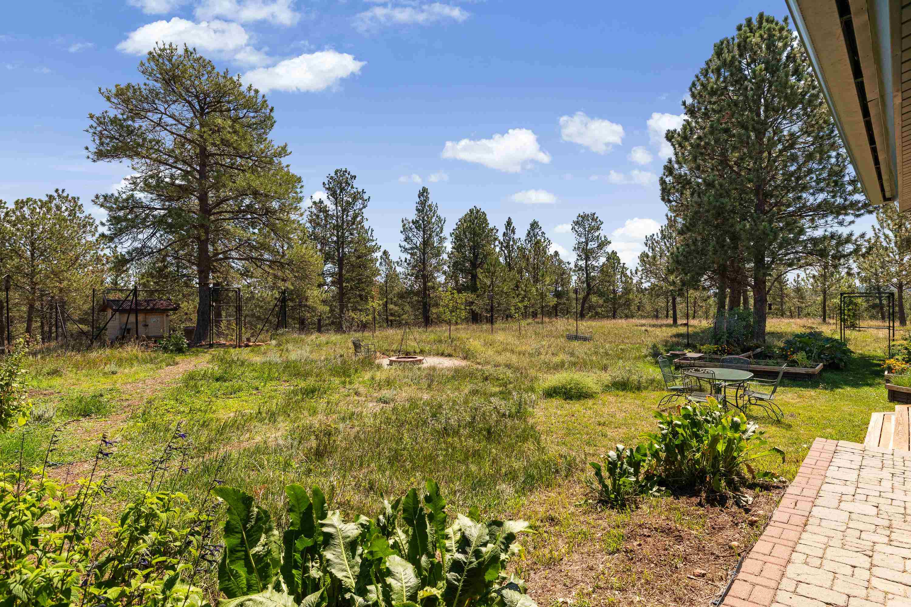 24711 Blue Jean Trail Property Photo 30