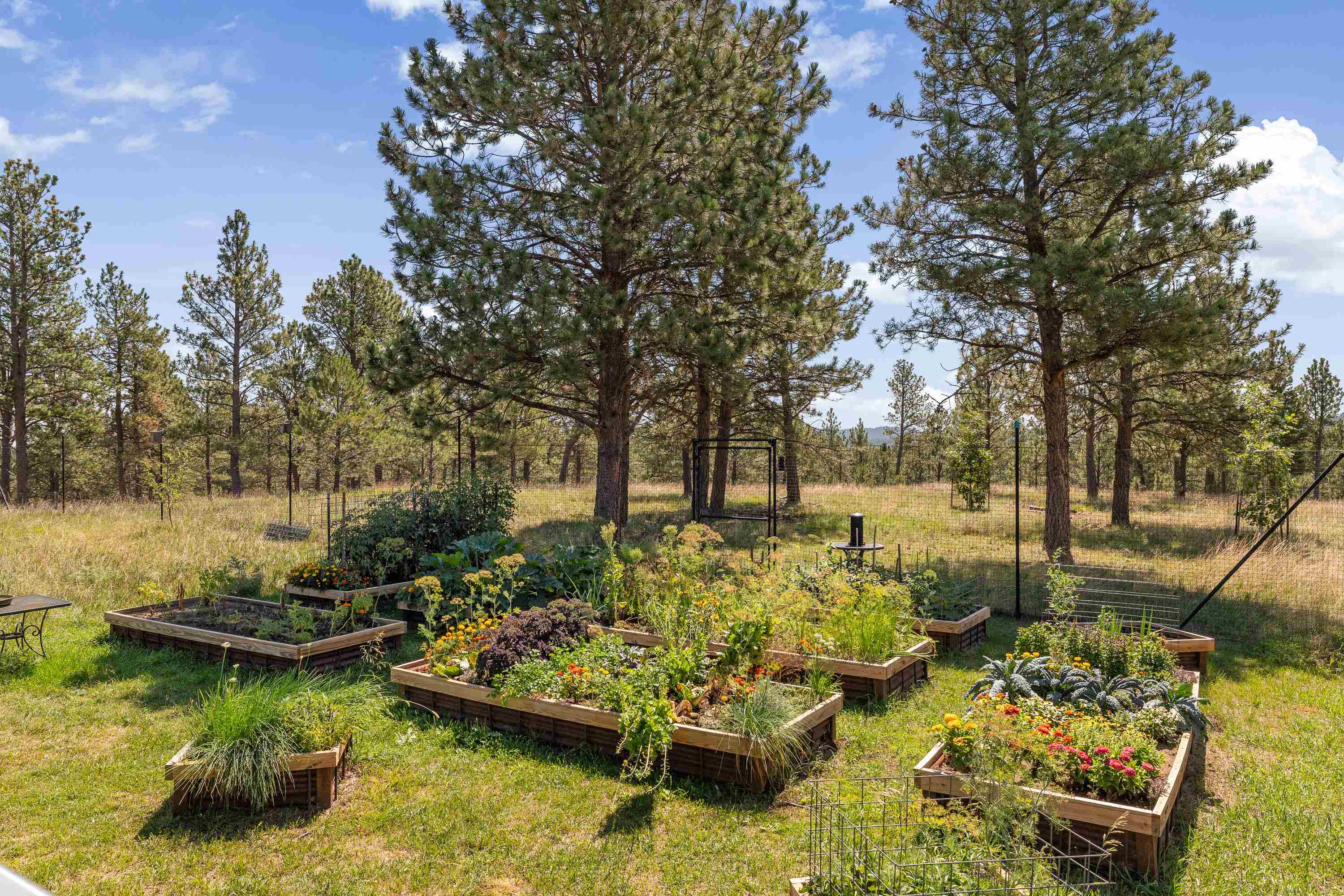 24711 Blue Jean Trail Property Photo 32