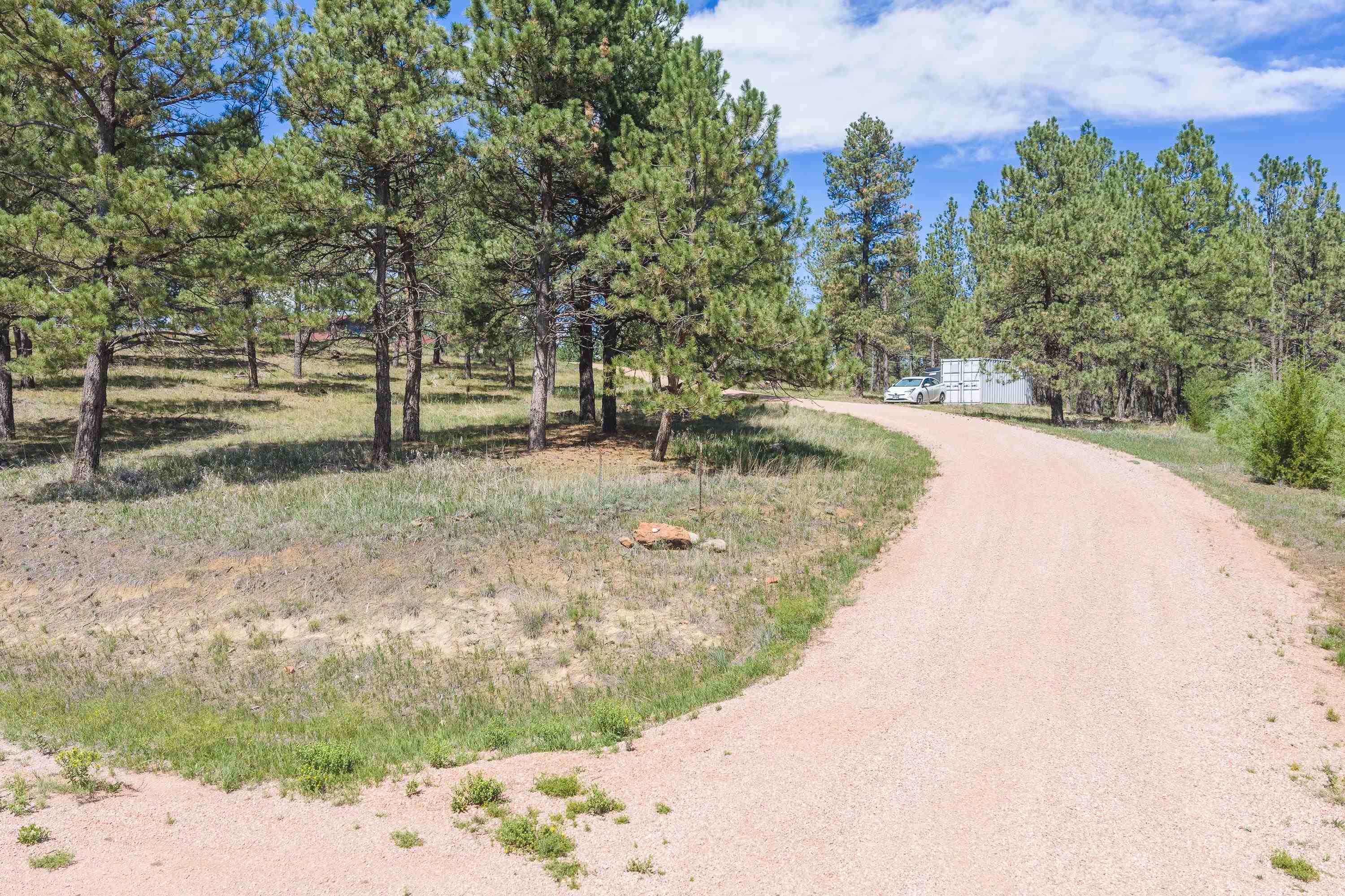 24711 Blue Jean Trail Property Photo 38