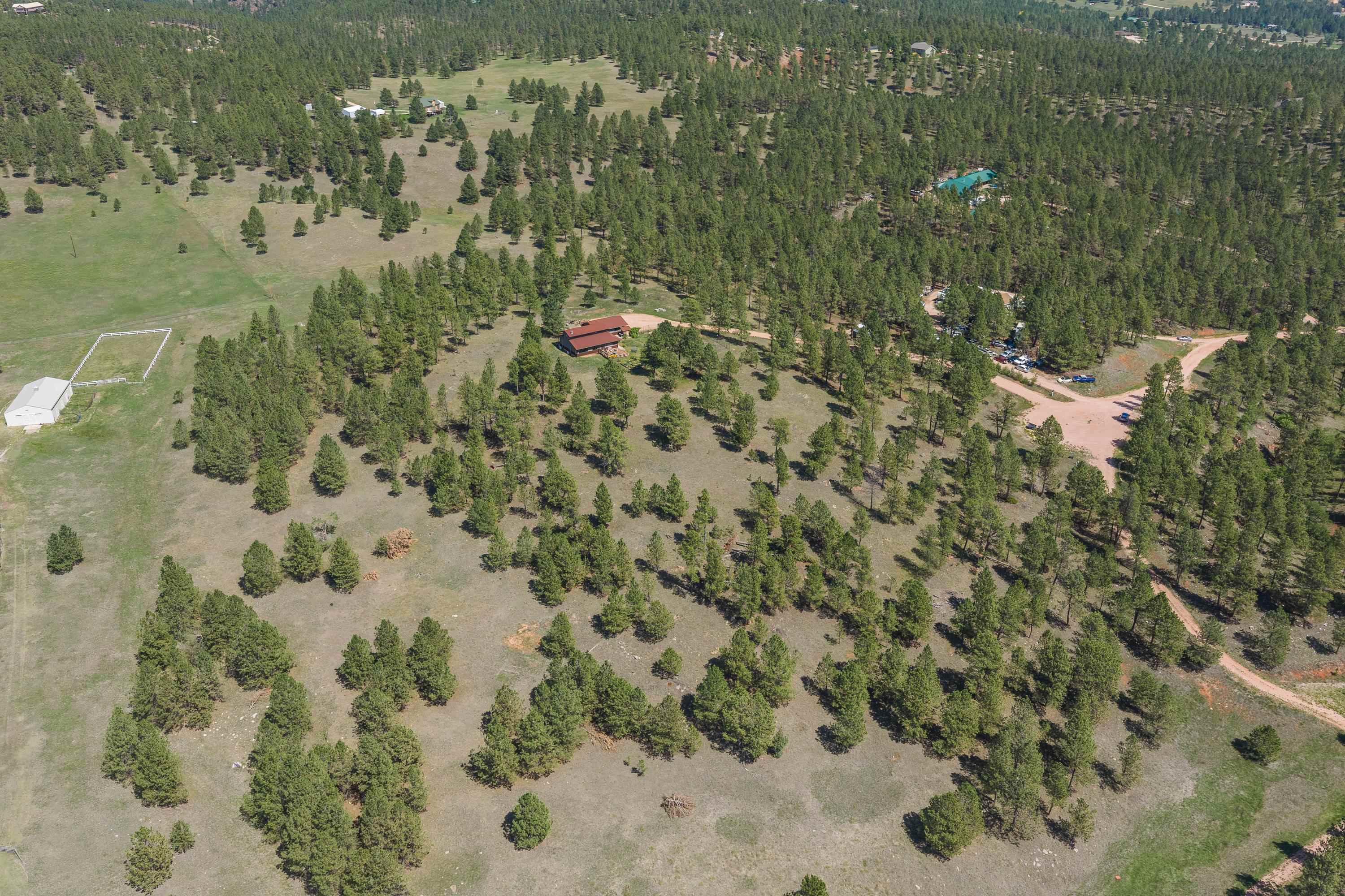 24711 Blue Jean Trail Property Photo 43