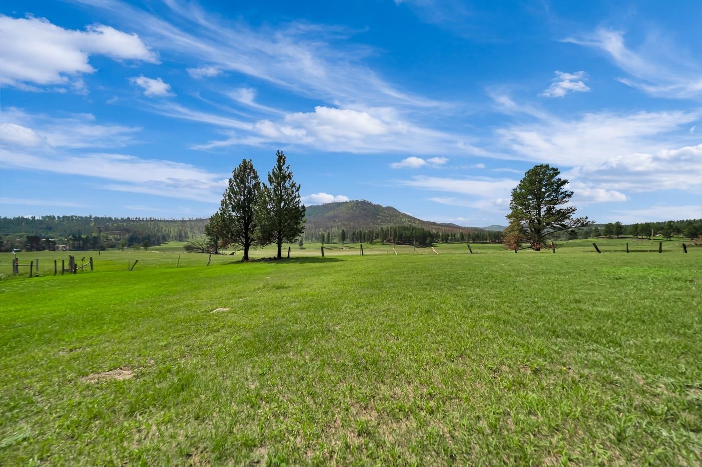 12677 Hazelrodt Cutoff Property Photo 23