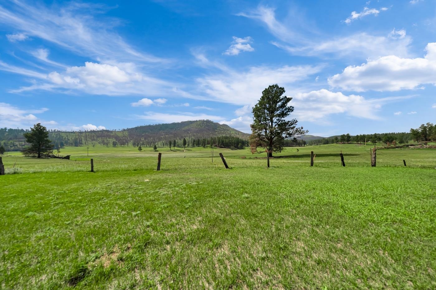 12677 Hazelrodt Cutoff Property Photo 24