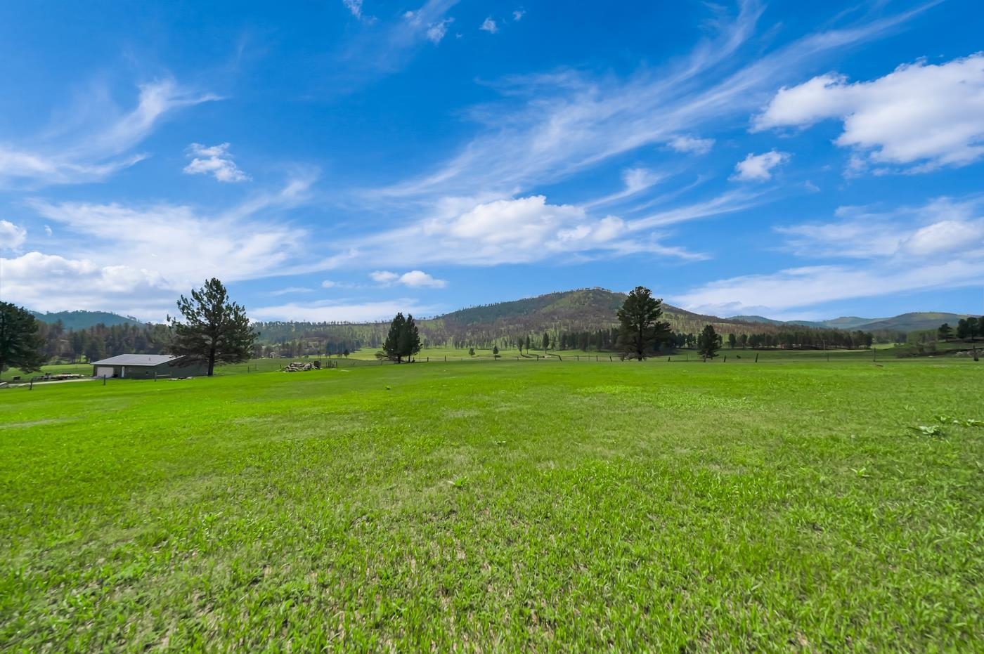 12677 Hazelrodt Cutoff Property Photo 29