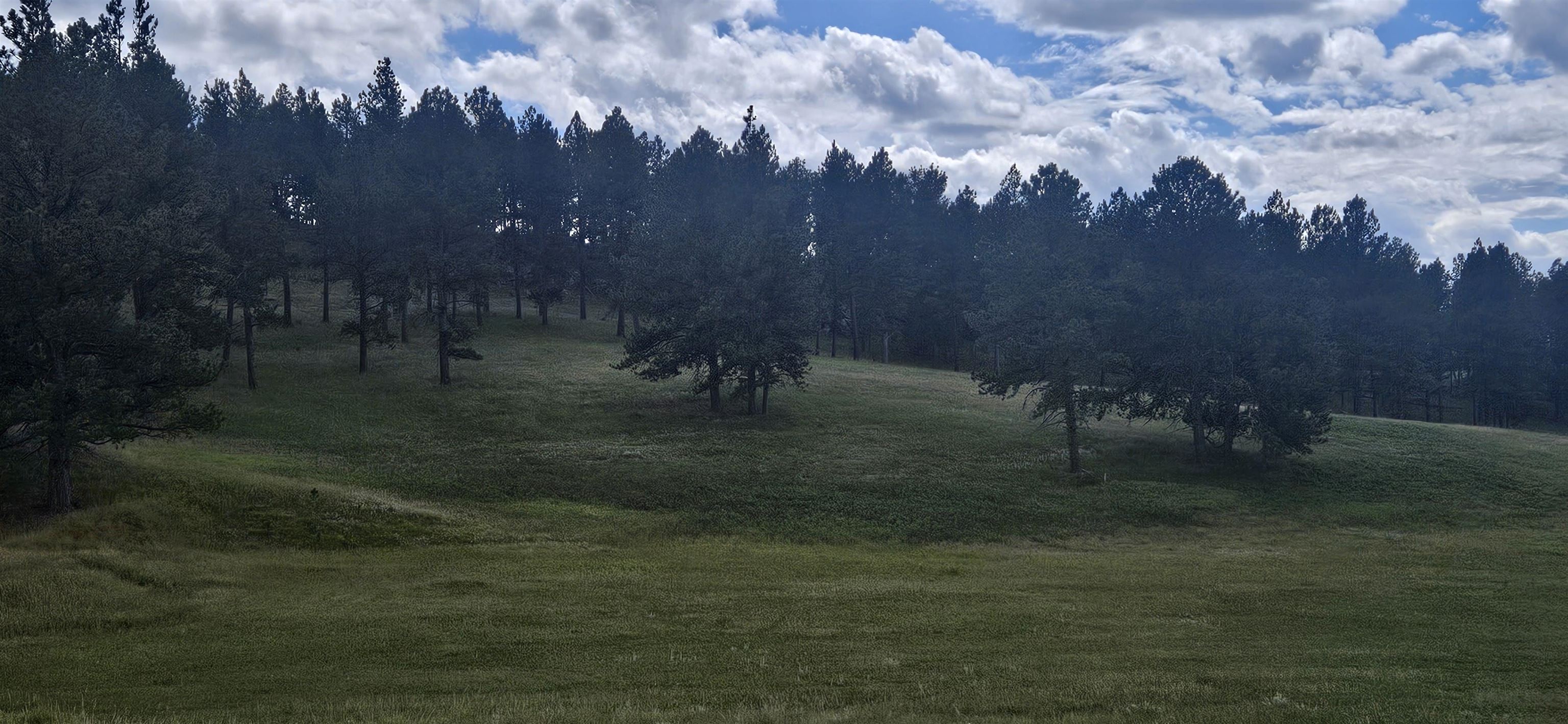 25381 Wind Song Valley Road Property Photo 2