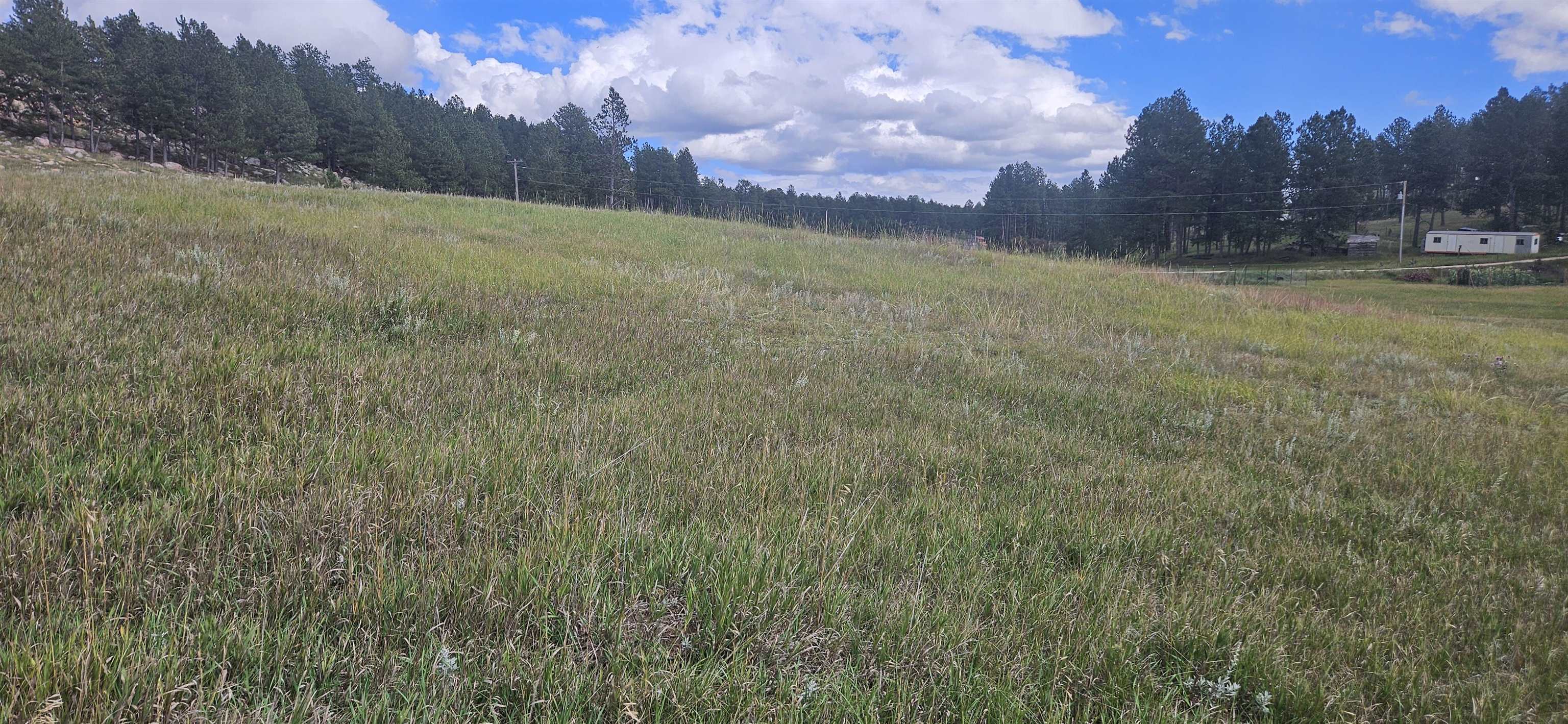 25381 Wind Song Valley Road Property Photo 3
