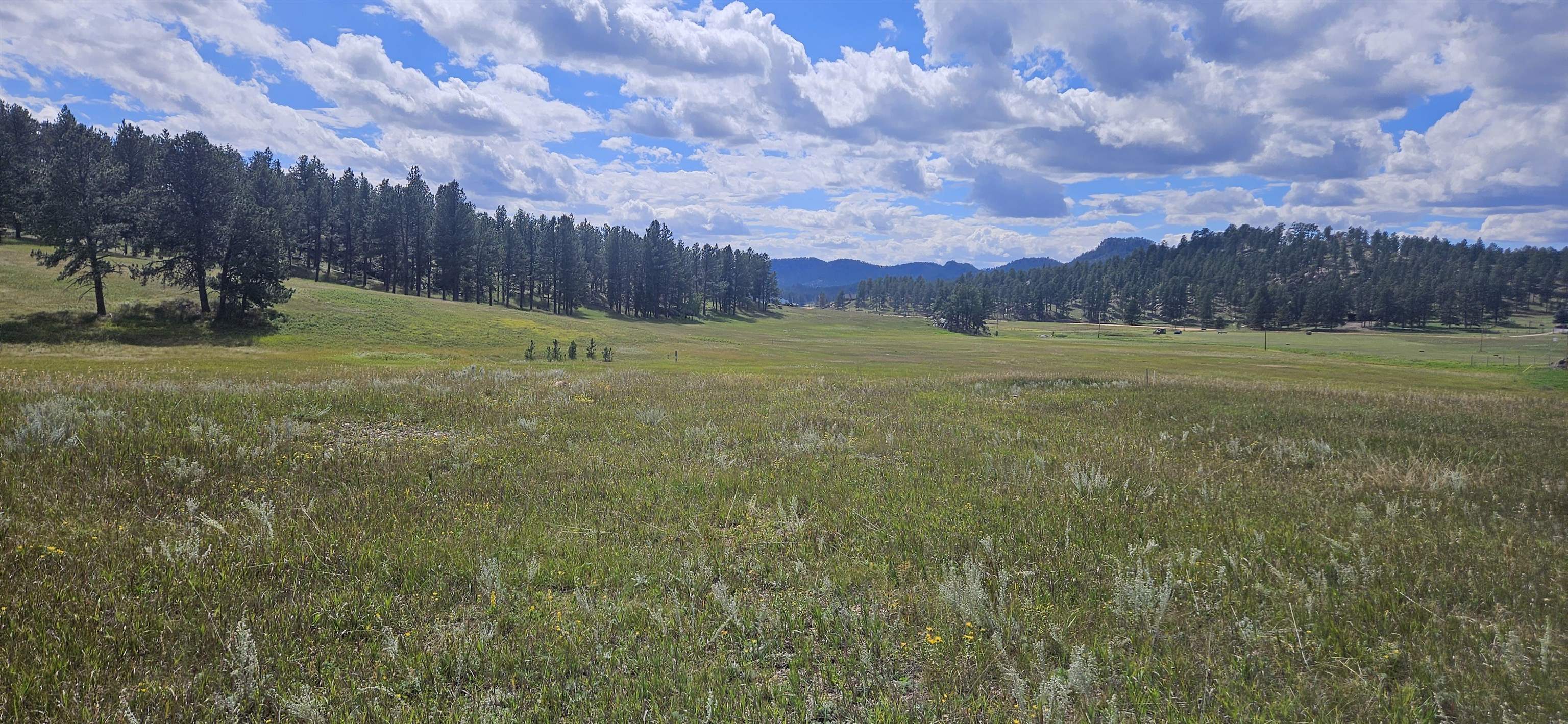 25381 Wind Song Valley Road Property Photo 6