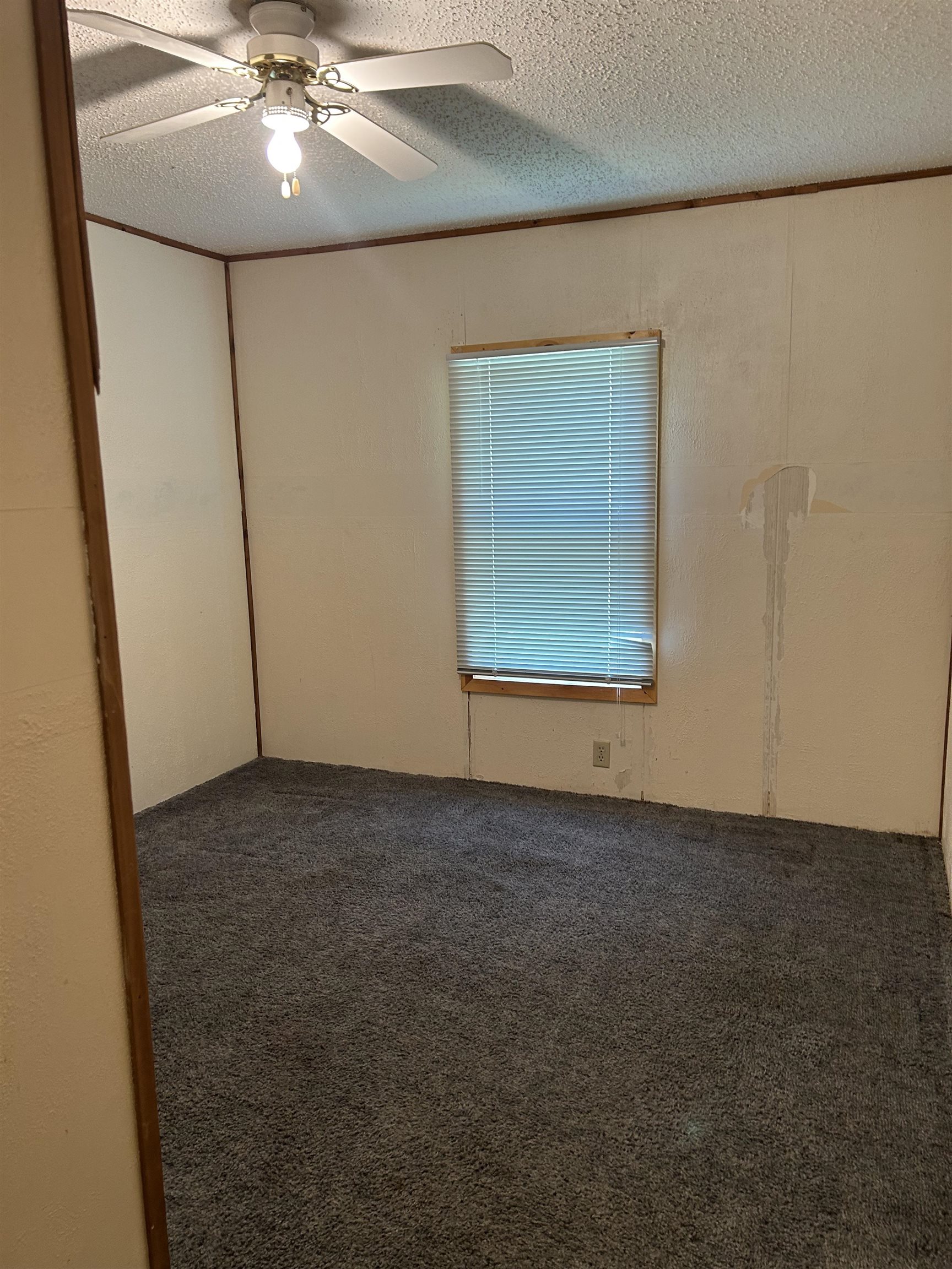 209 Pierre Street Property Photo 21