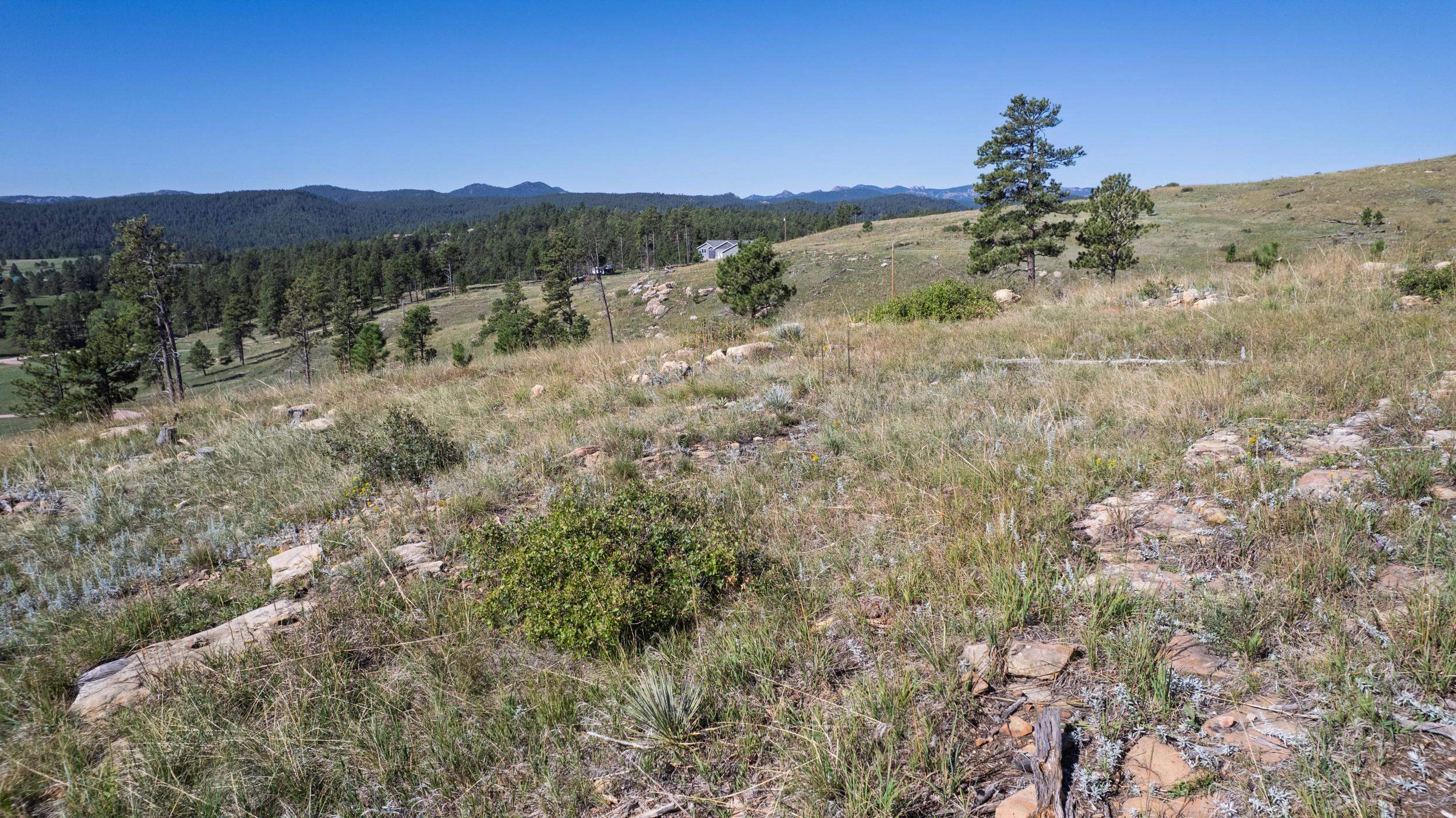 Lot 3c Talon Trail Property Photo 9