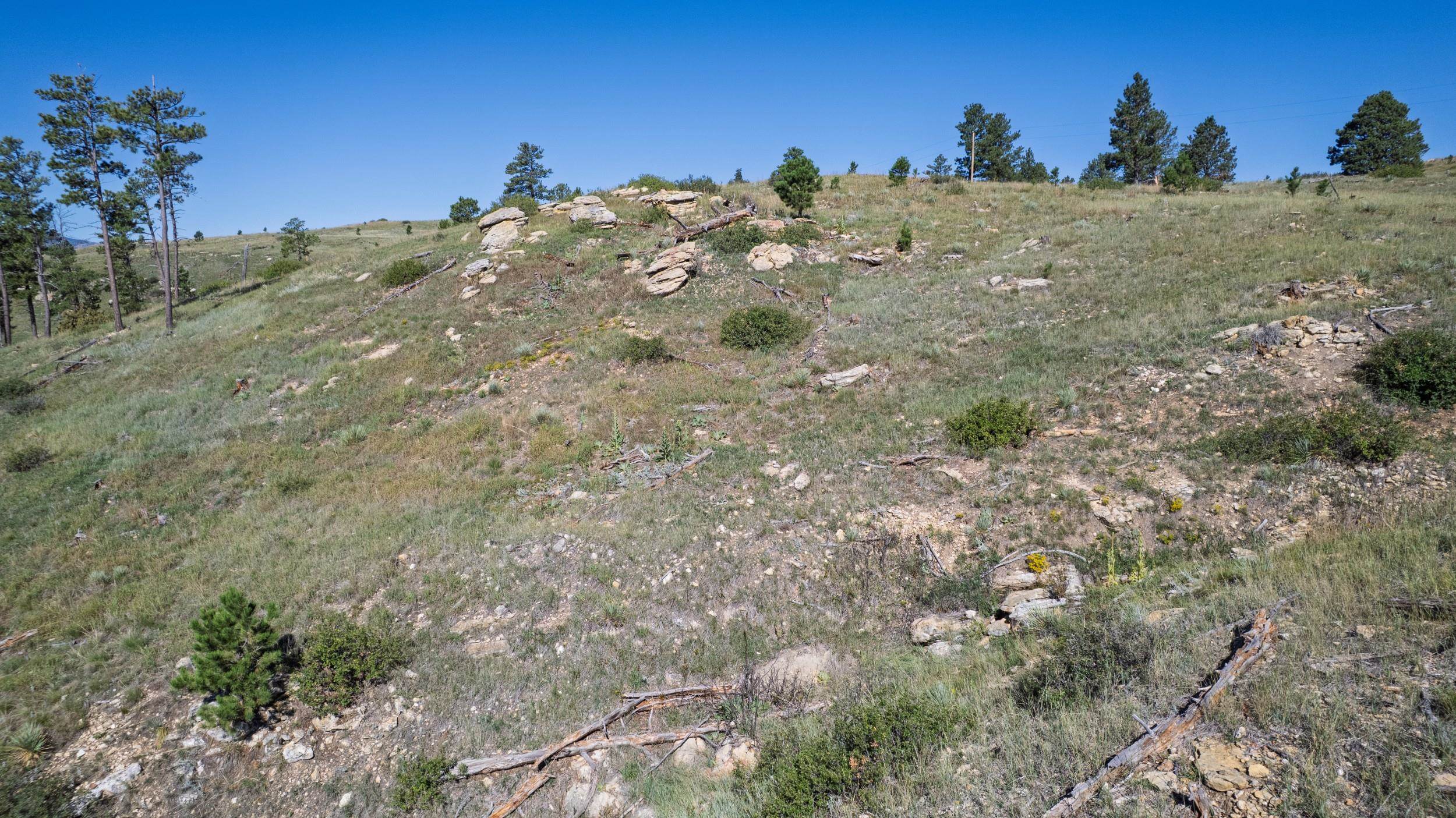 Lot 3c Talon Trail Property Photo 15