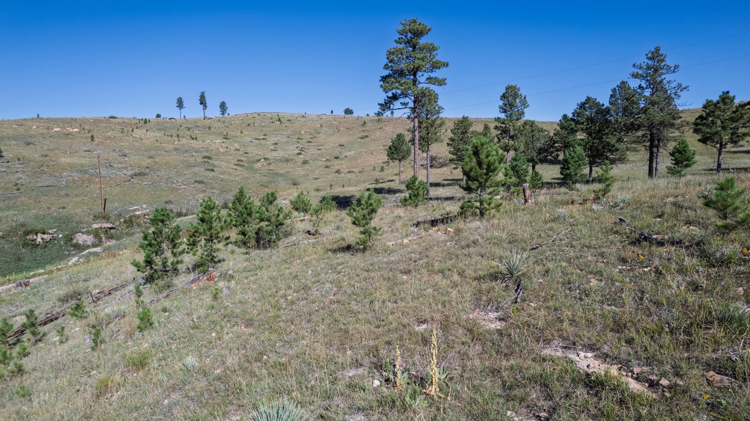 Lot 3c Talon Trail Property Photo 22