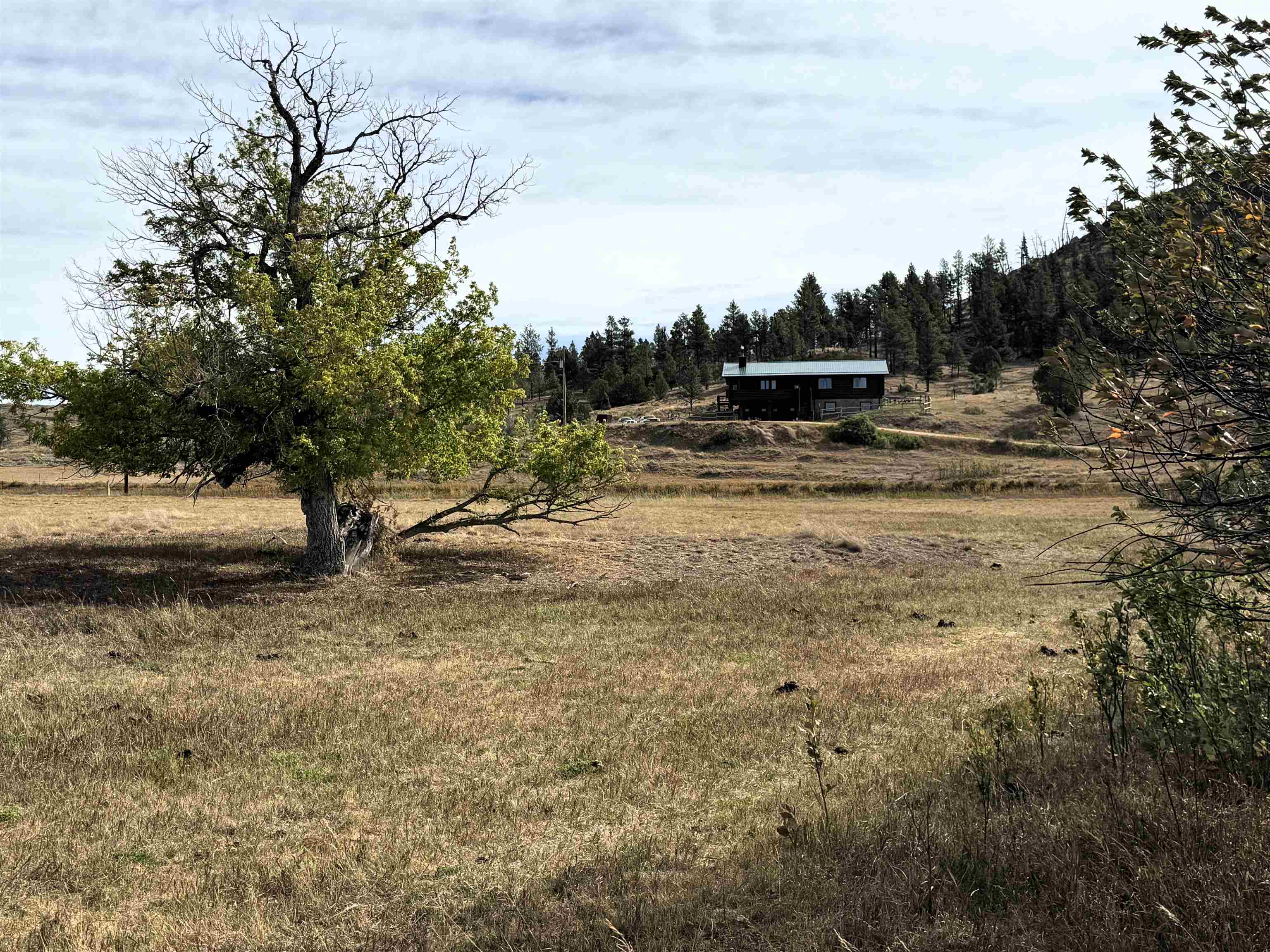 604 Douglas Road Property Photo 2