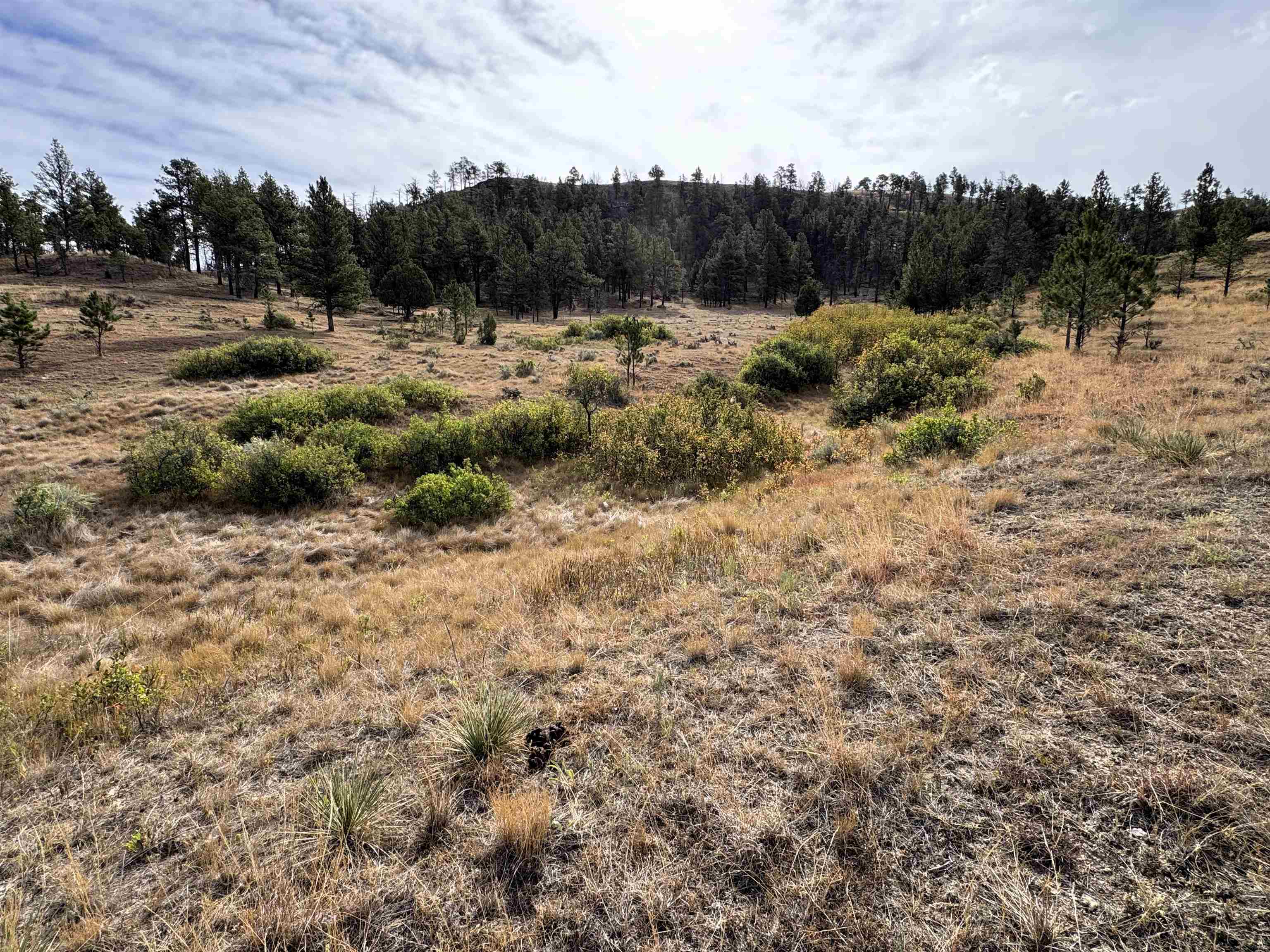 604 Douglas Road Property Photo 8
