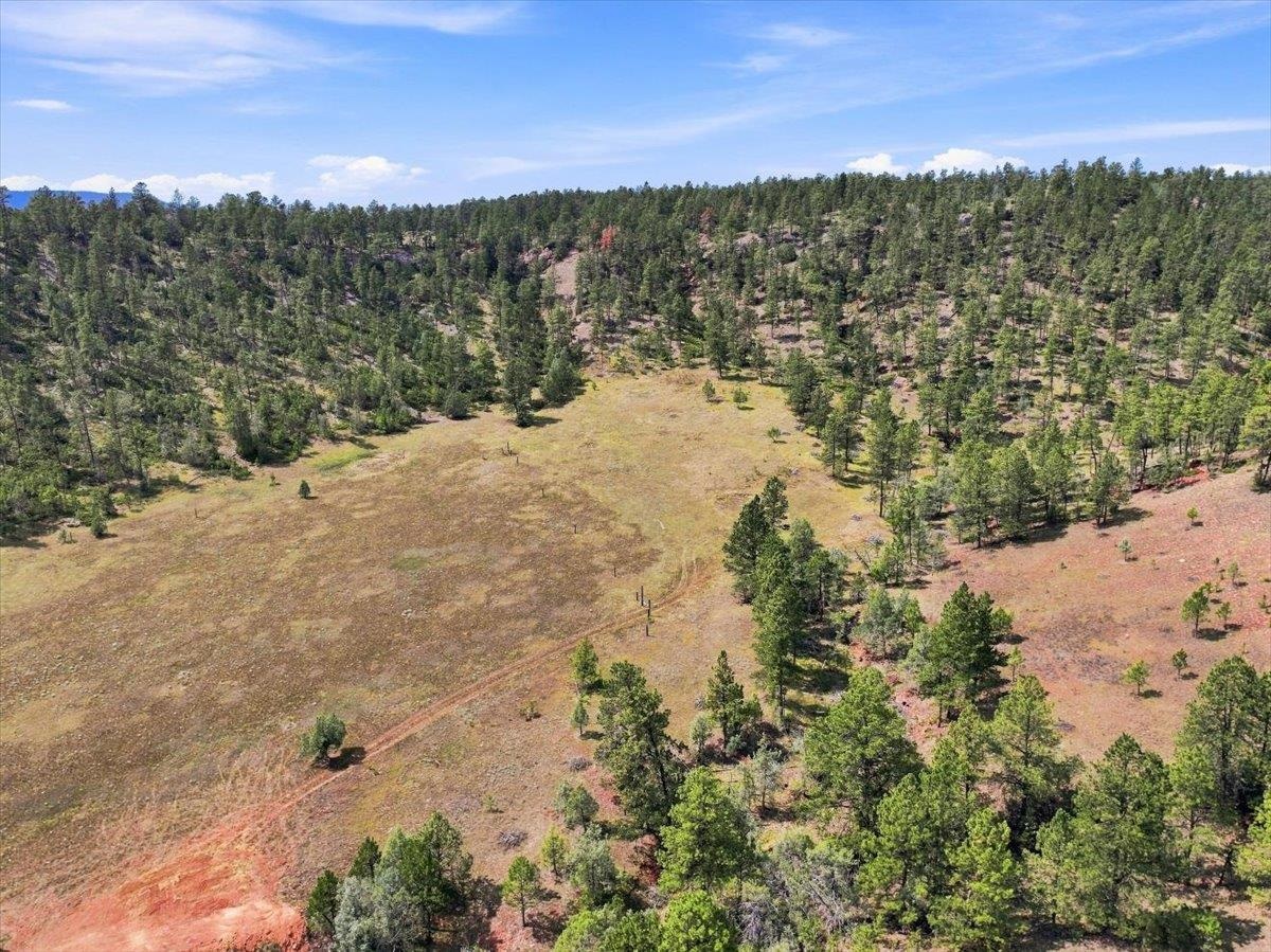 12592 Sandstone Road Property Photo 40