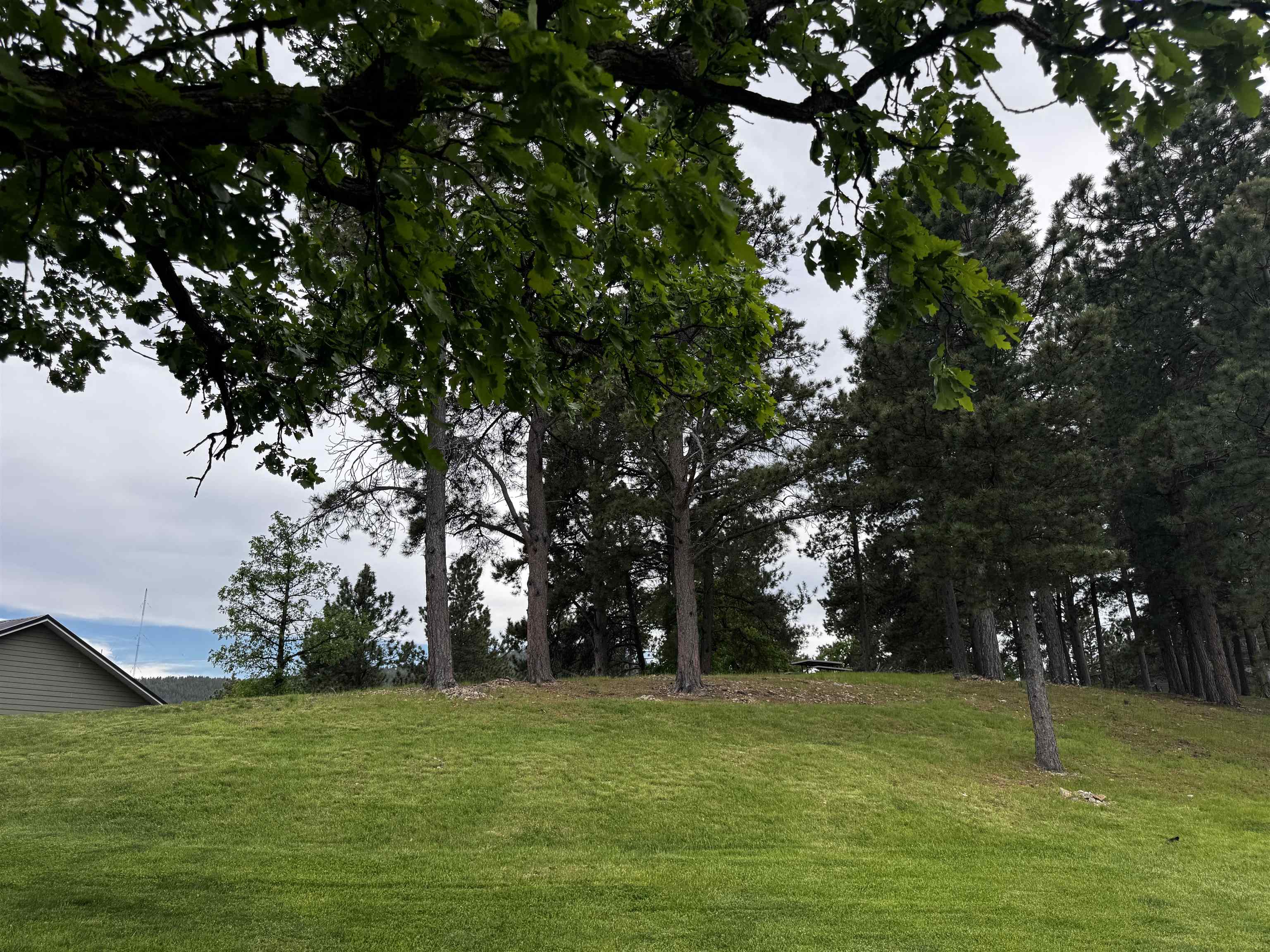 20786 Mountain Court Property Photo 9