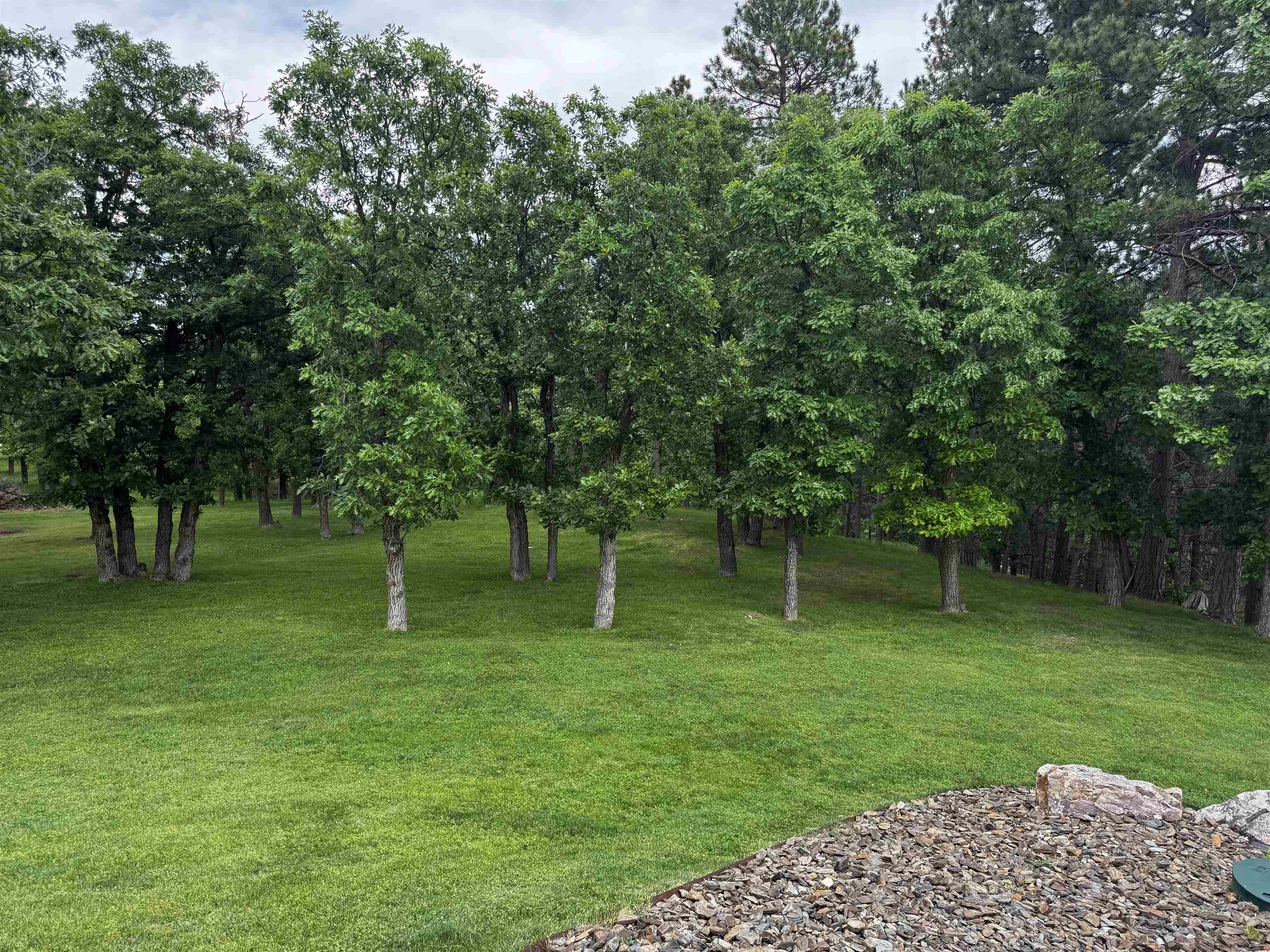 20786 Mountain Court Property Photo 10