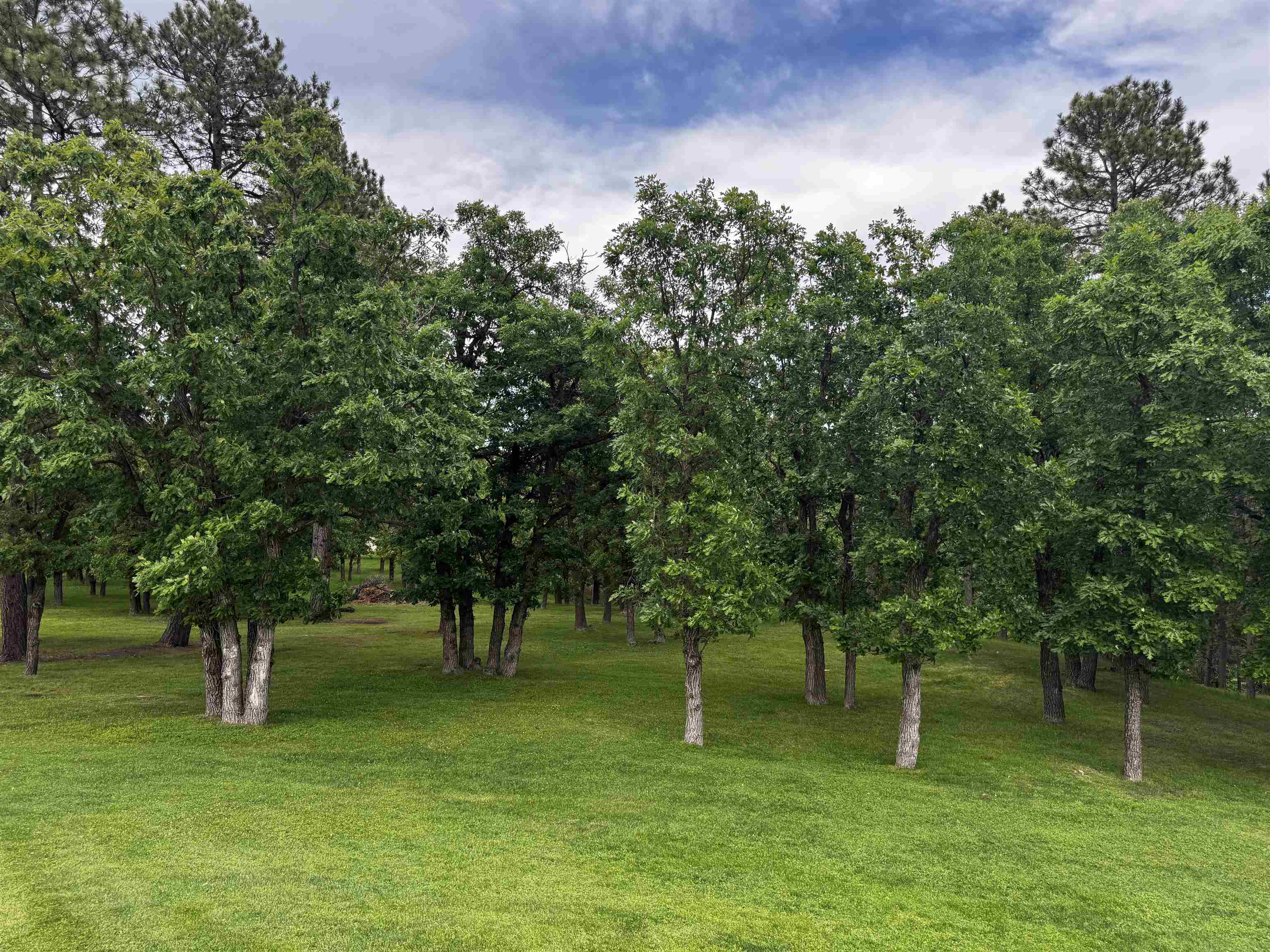 20786 Mountain Court Property Photo 11