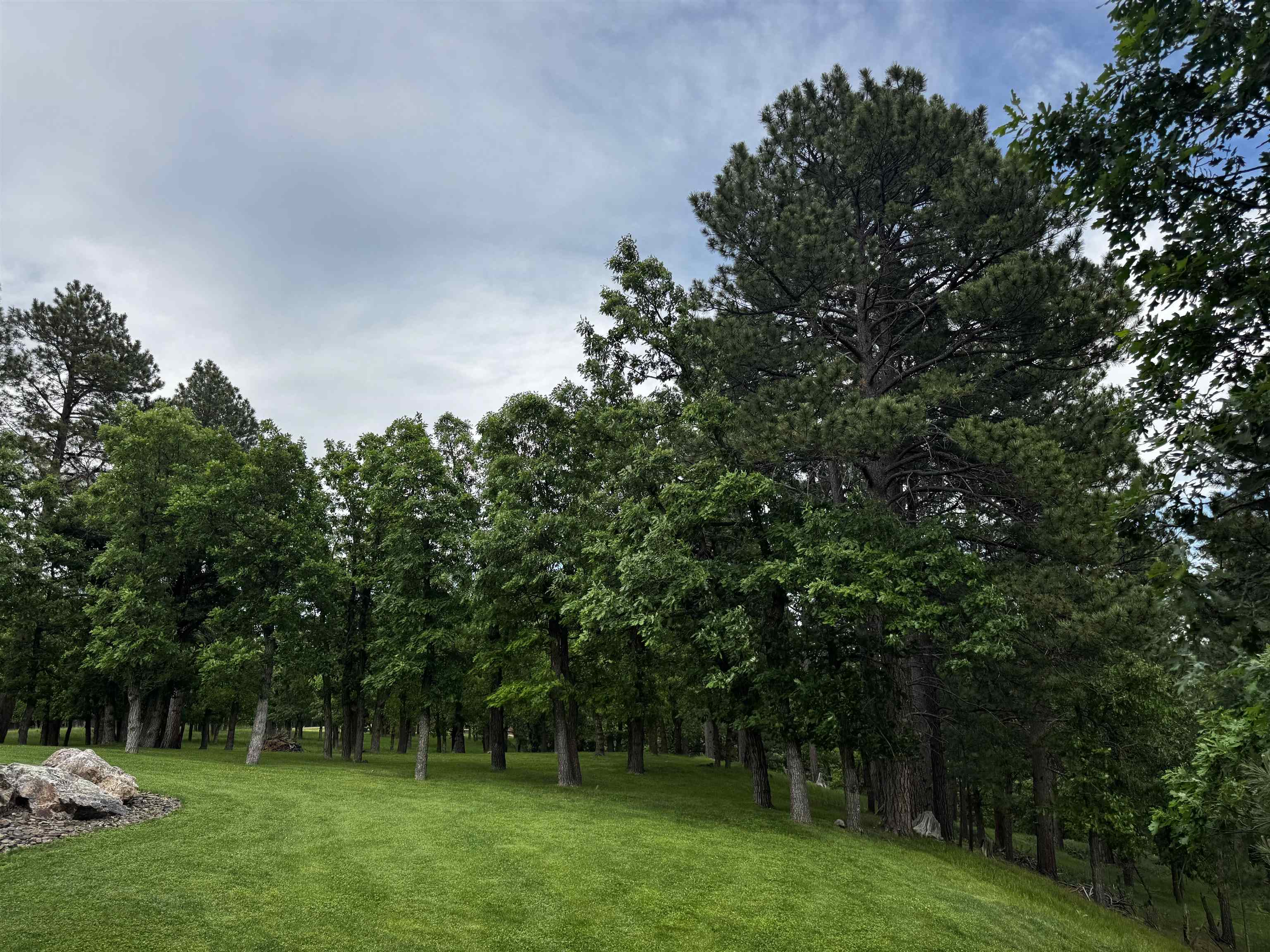 20786 Mountain Court Property Photo 13