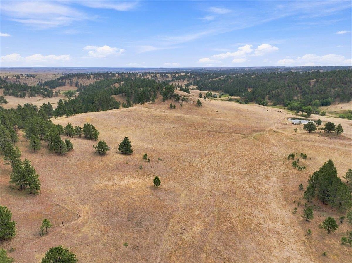 10465 Windmill Ridge Ln Property Photo 6