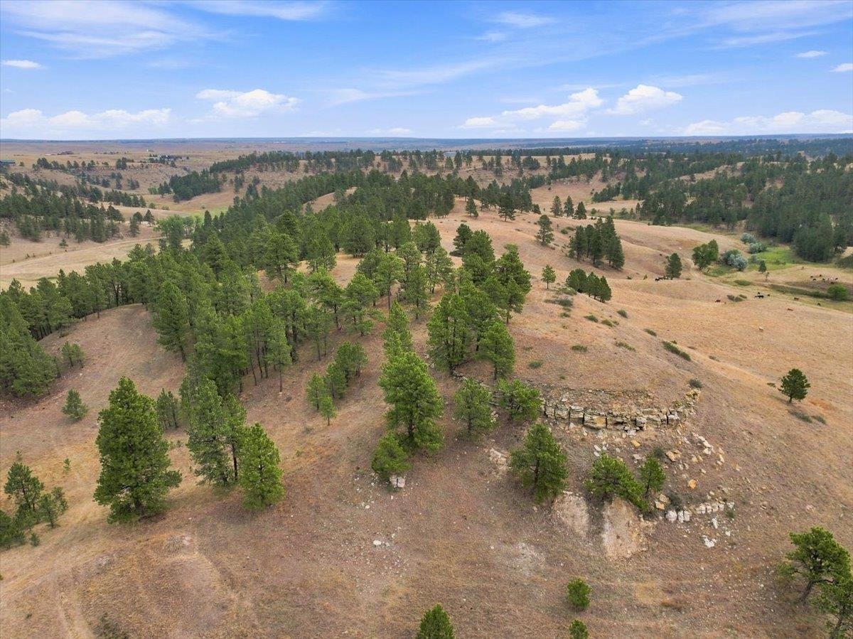 10465 Windmill Ridge Ln Property Photo 11