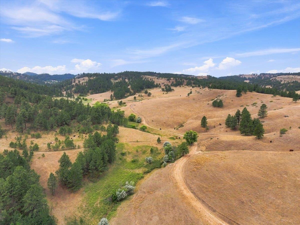 10465 Windmill Ridge Ln Property Photo 20