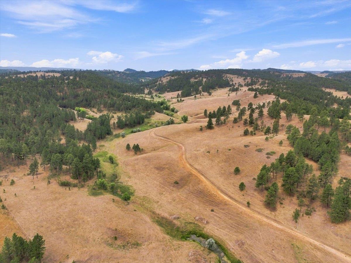 10465 Windmill Ridge Ln Property Photo 21