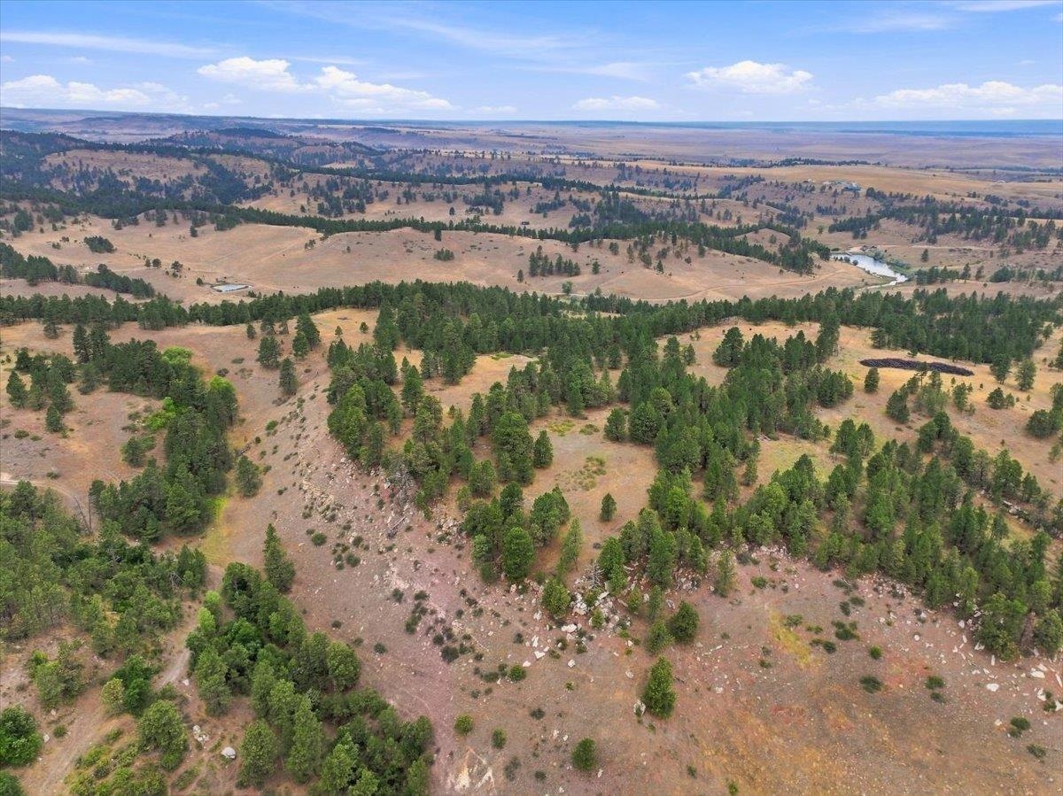 10465 Windmill Ridge Ln Property Photo 23