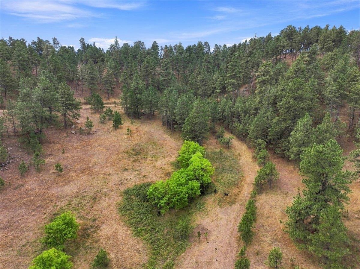 10465 Windmill Ridge Ln Property Photo 24