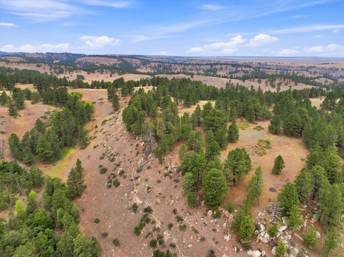 10465 Windmill Ridge Ln Property Photo 25