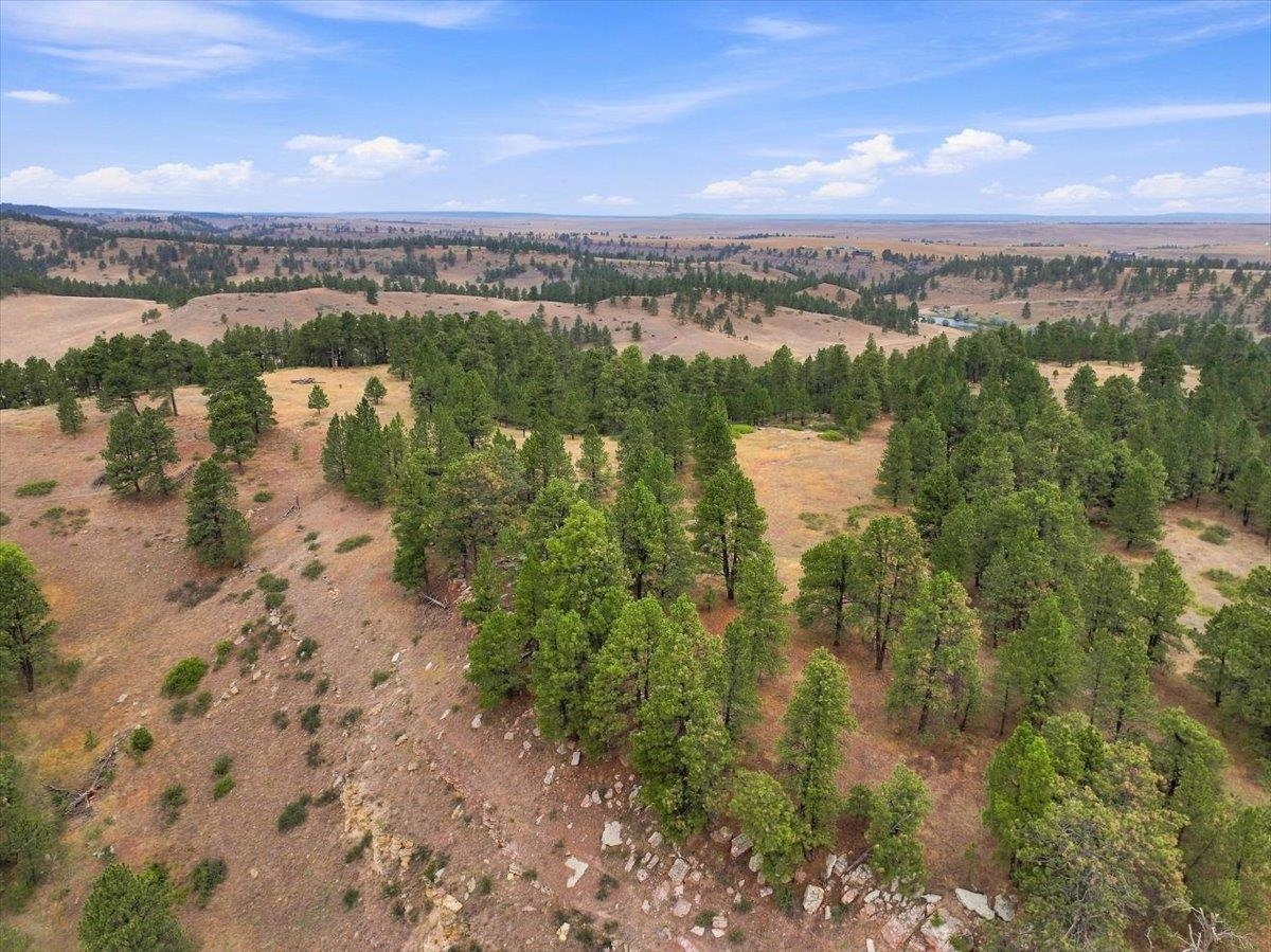 10465 Windmill Ridge Ln Property Photo 26