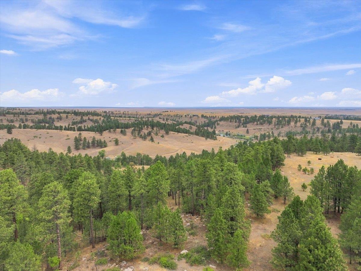 10465 Windmill Ridge Ln Property Photo 27