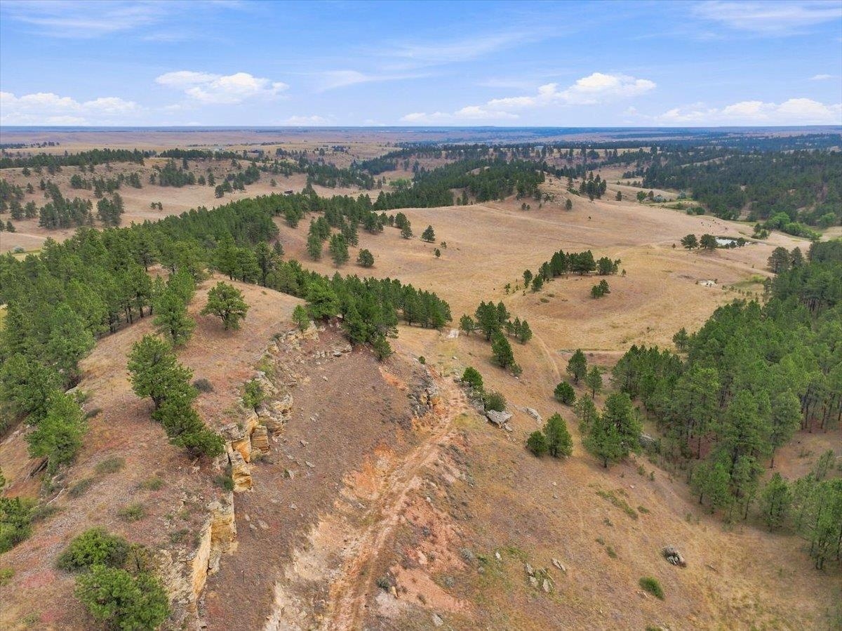 10465 Windmill Ridge Ln Property Photo 28