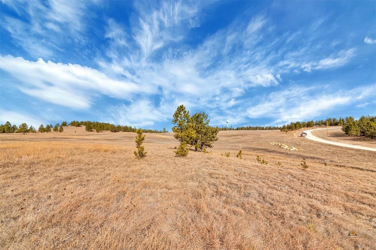 Lot 10 Lonesome Dove Street Property Photo 4