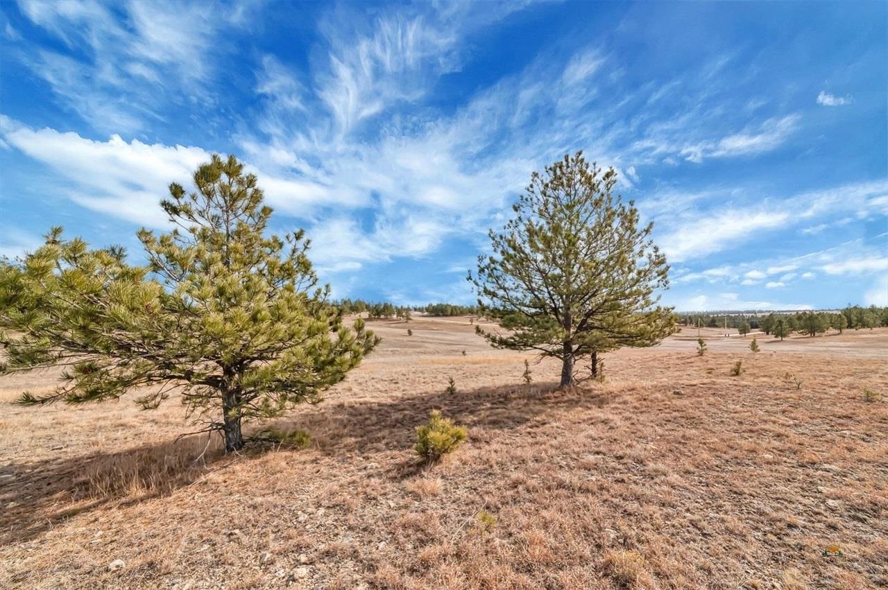 Lot 10 Lonesome Dove Street Property Photo 10