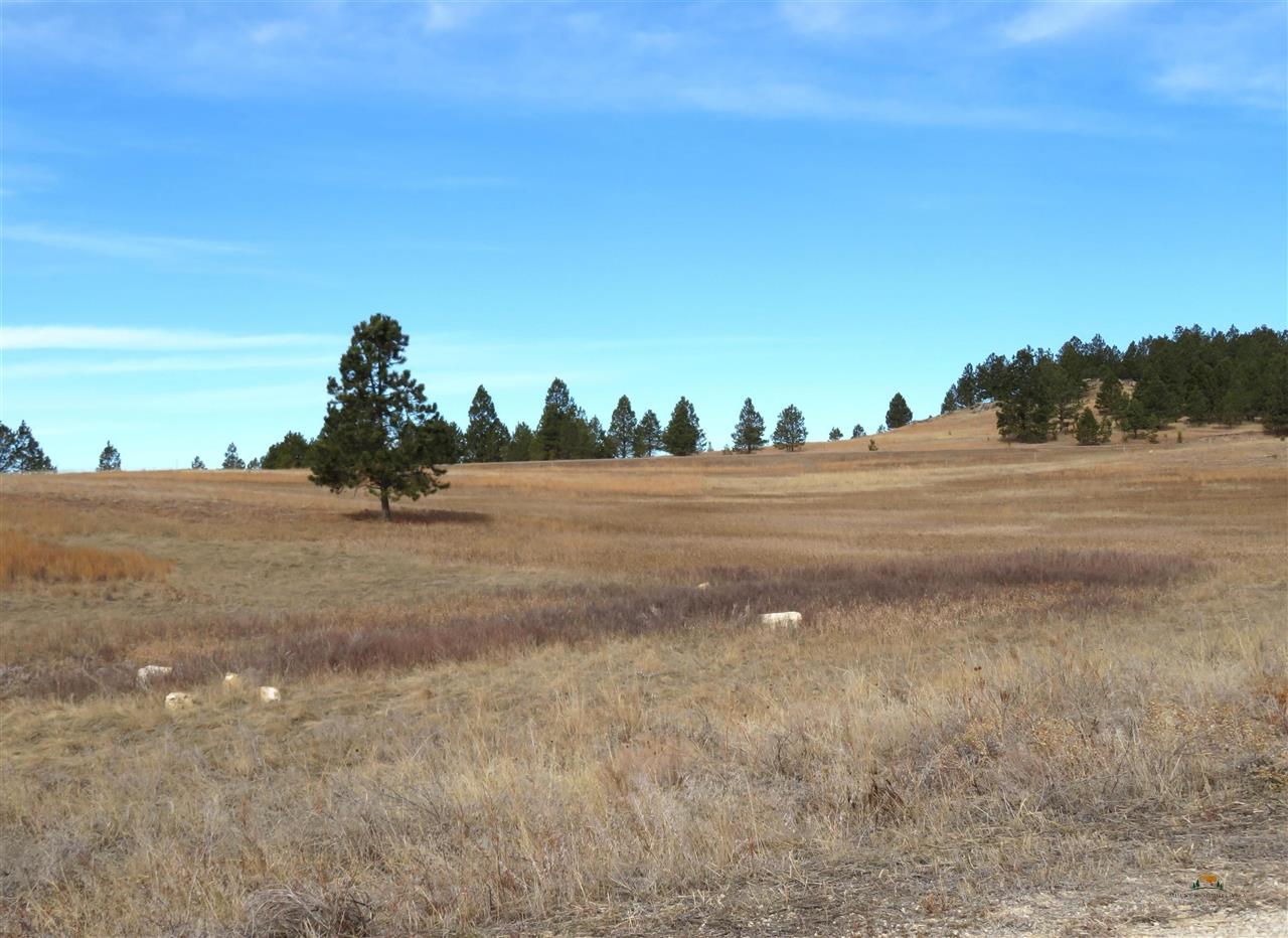 Lot 10 Lonesome Dove Street Property Photo 17