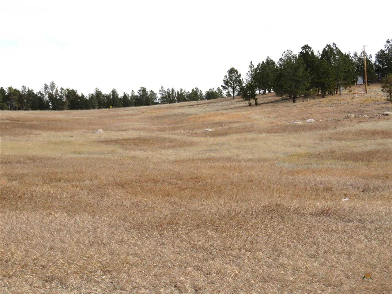 Lot 10 Lonesome Dove Street Property Photo 18
