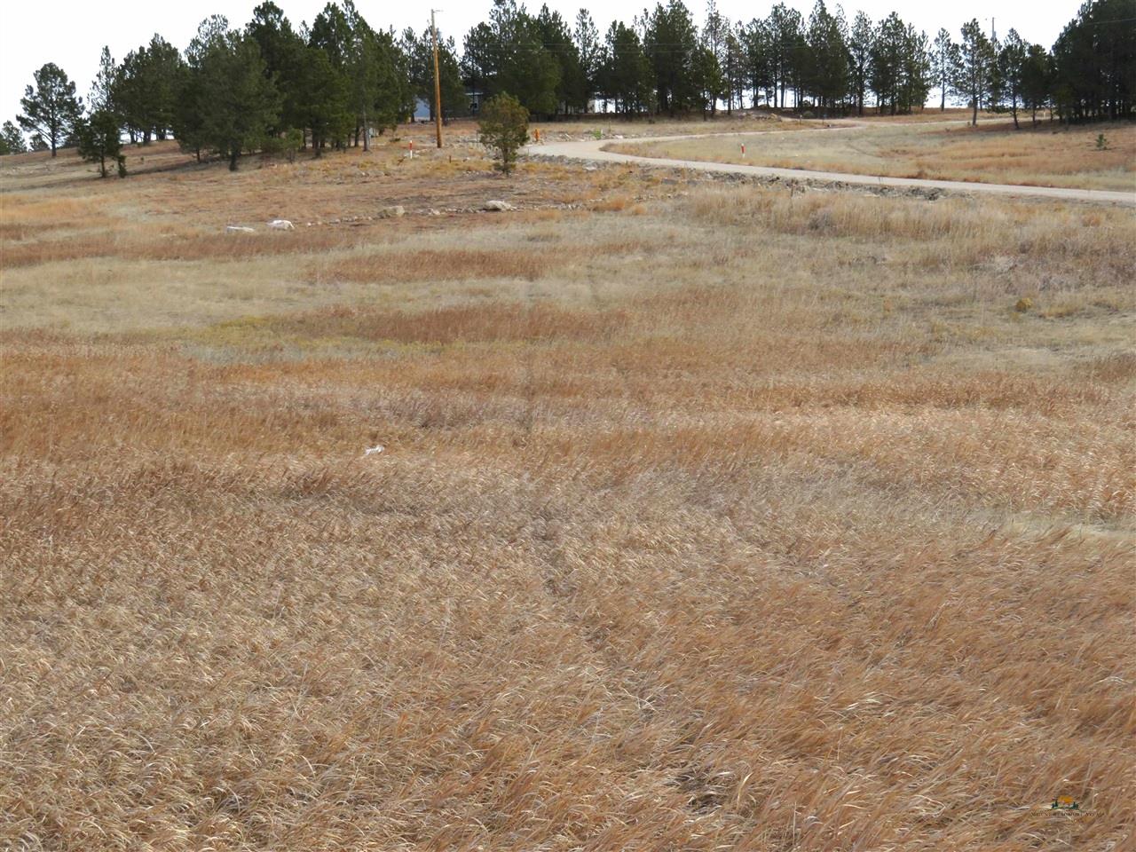 Lot 10 Lonesome Dove Street Property Photo 19