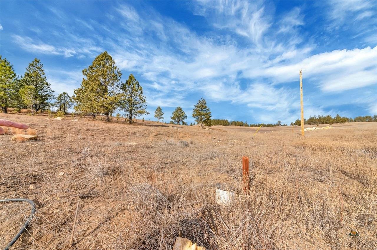 Lot 10 Lonesome Dove Street Property Photo 21